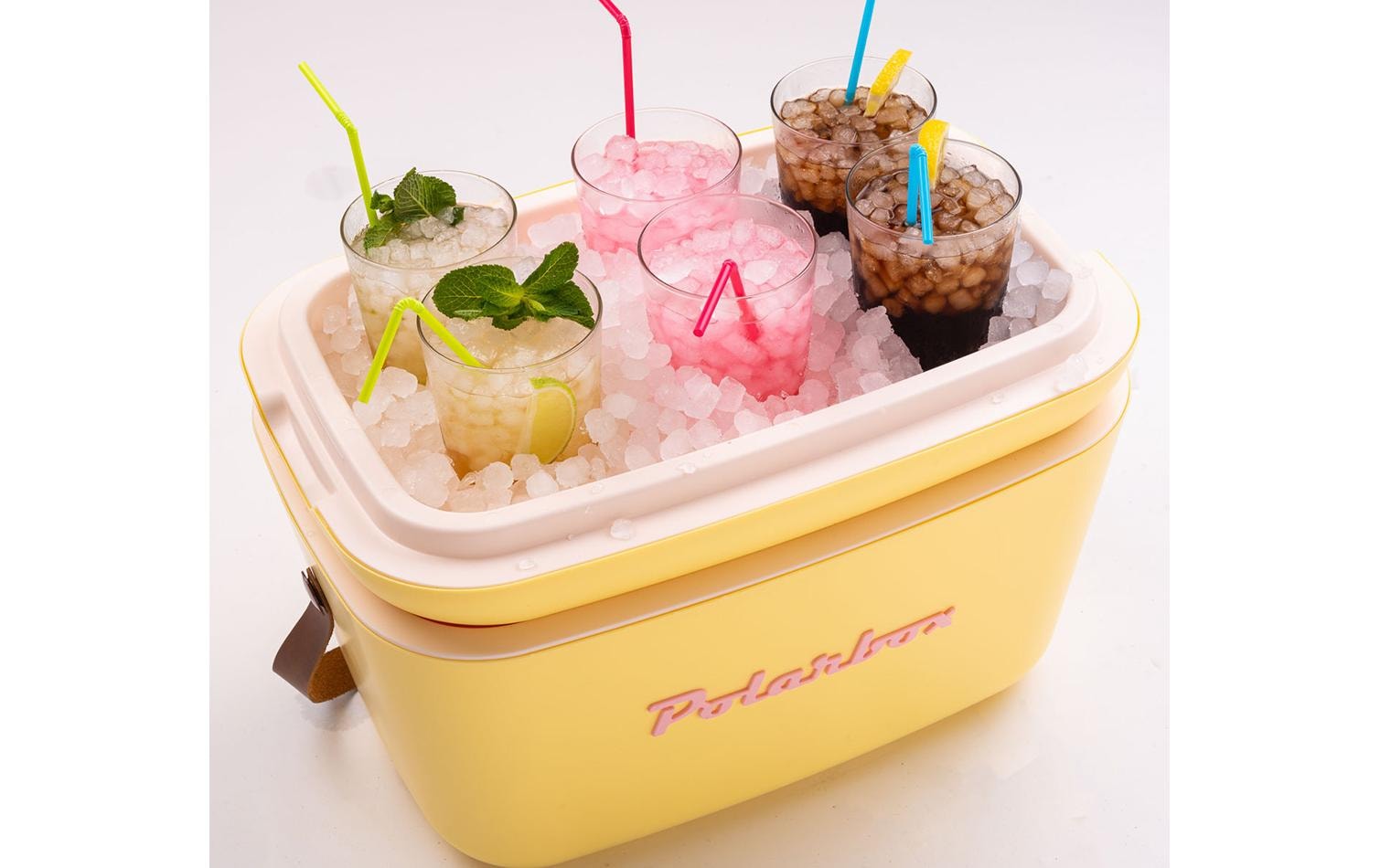 Kühlbox »Polarbox Retro Cooler 20 L«