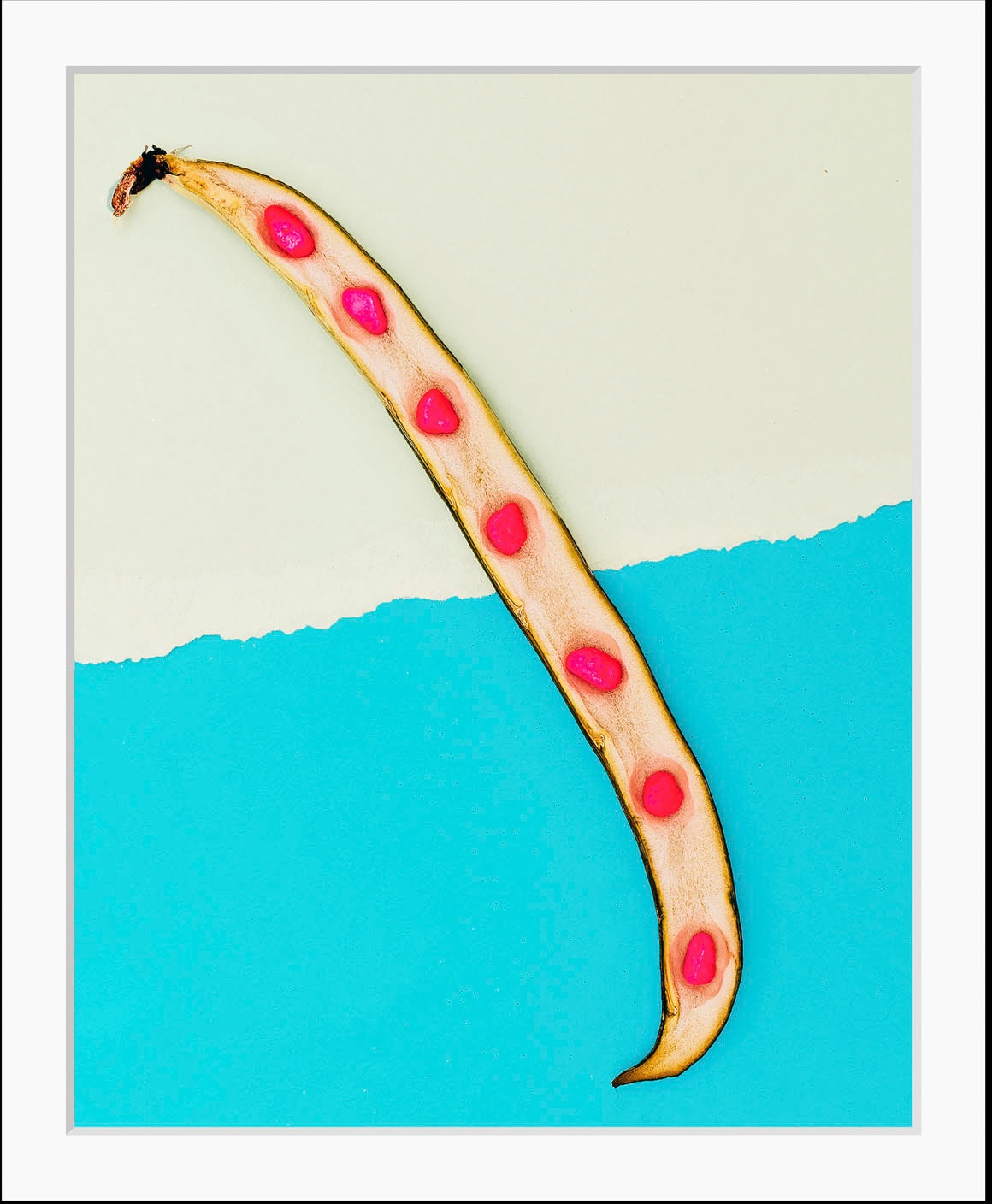 queence Bild »Edgar« Essen | Figuren | Kunst | Lebensmittel | Obst | Obst Bilder 1 Stk. tlg. HD Premium Poster-Druck inkl. Holzrahmen