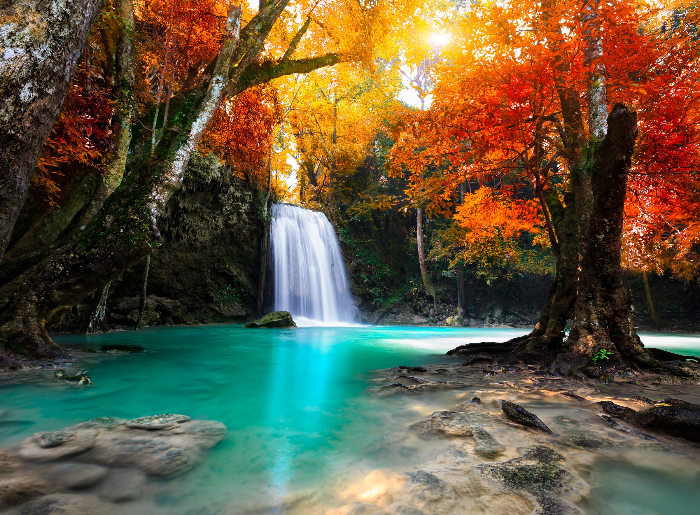 Image of Papermoon Fototapete "Deep Forest Waterfall" glatt