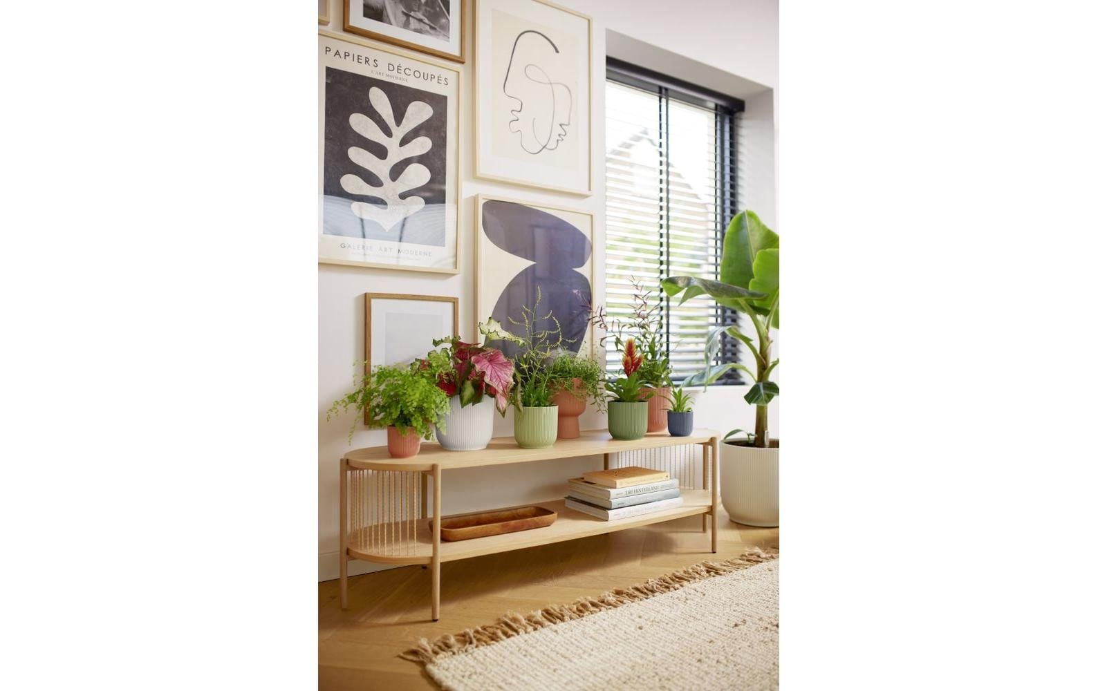 Elho Blumentopf »Vibes Fold Rund 35 cm«