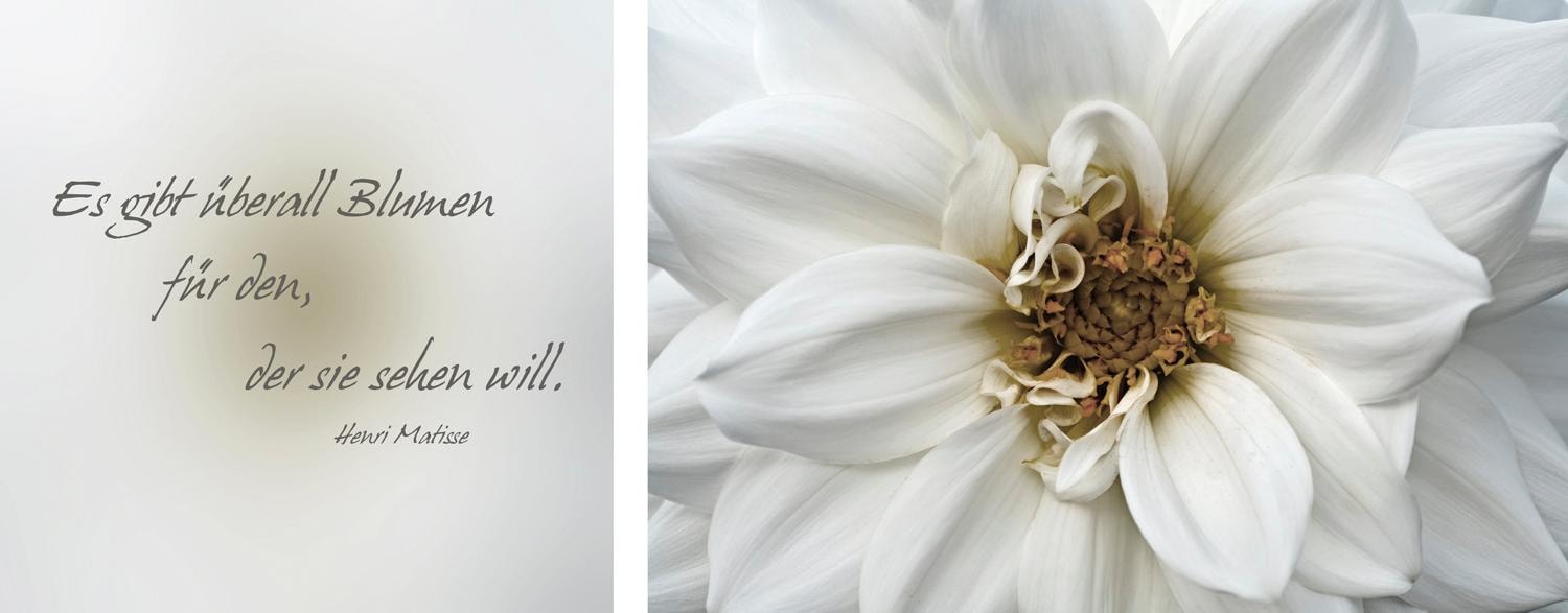 Image of queence Leinwandbild "Blumen" Blumen Blumenbilder Kunst Modern Schriftzug Schriftzüge Spa Spa Bilder Sprüche Sprüche & Texte Set, Premium-Leinwandstoff, Handarbeit aus Deutschland, Zitat, 2er Set