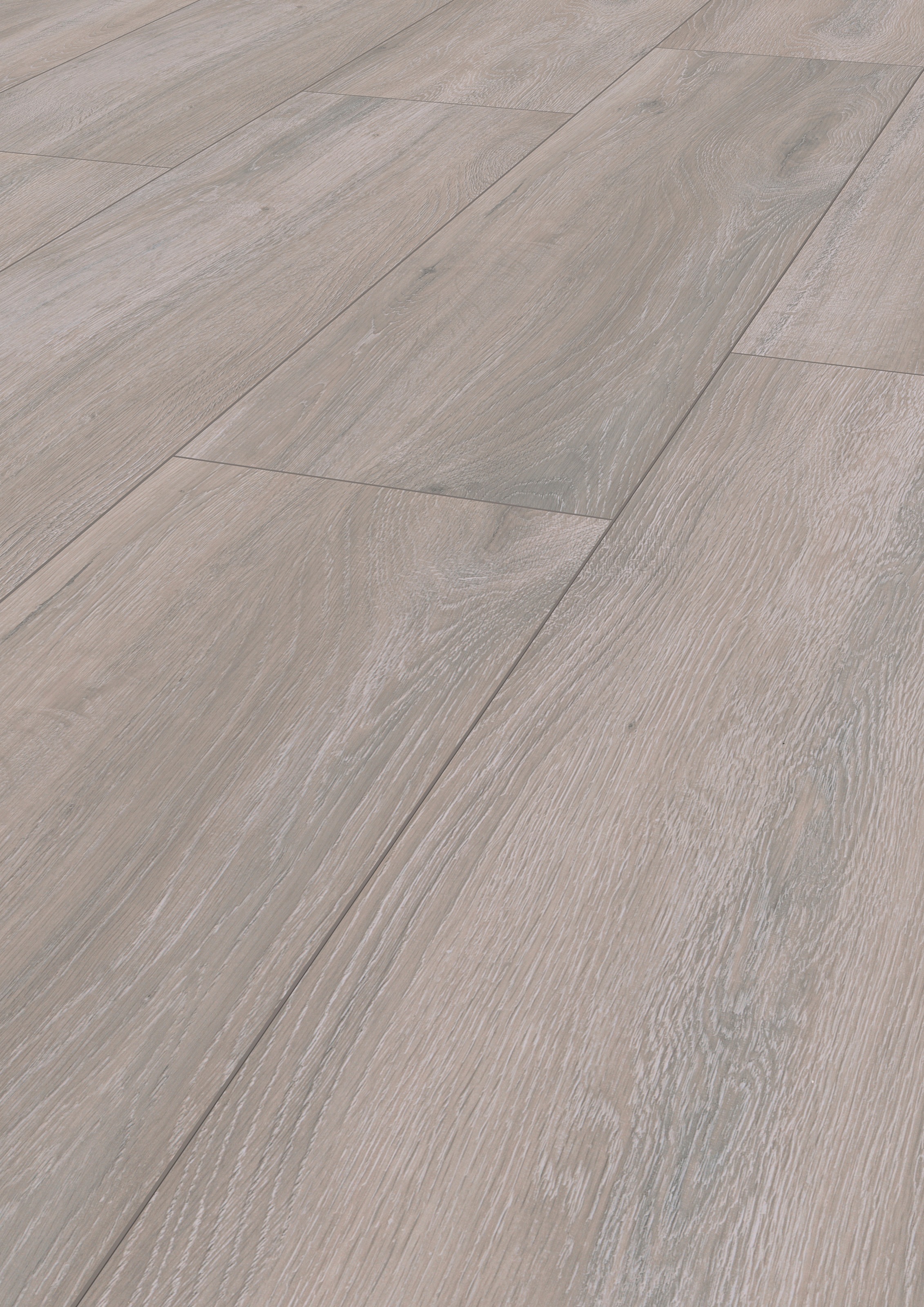 Image of ter Hürne Laminat »Eiche silberfarbengrau«, mit fühlbarer Oberfläche und Klicksystem bei Ackermann Versand Schweiz