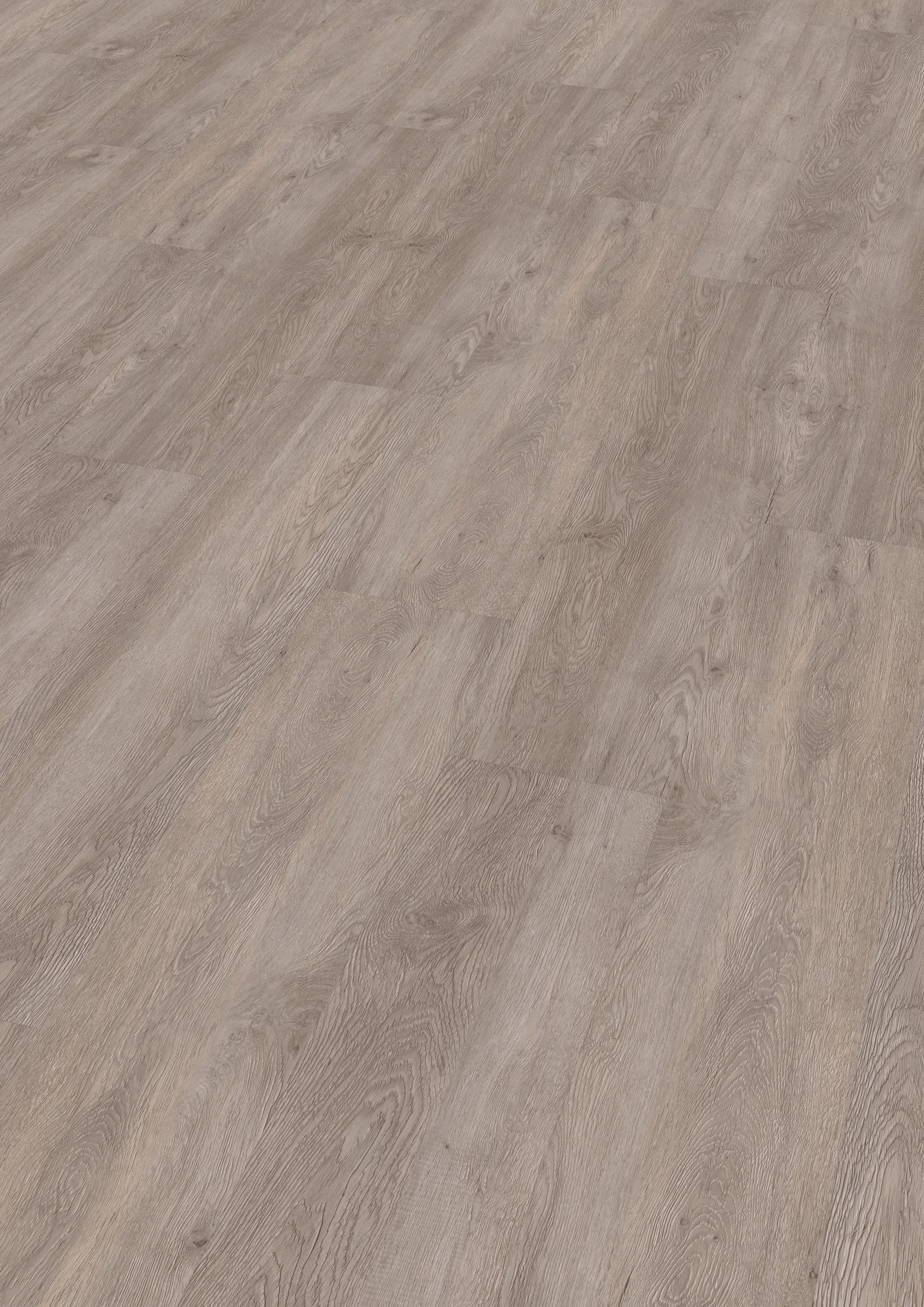 Image of ter Hürne Vinylboden »Eiche Oslo«, 121,3 x 22,2 x 0,6 cm, 1,62 m² bei Ackermann Versand Schweiz