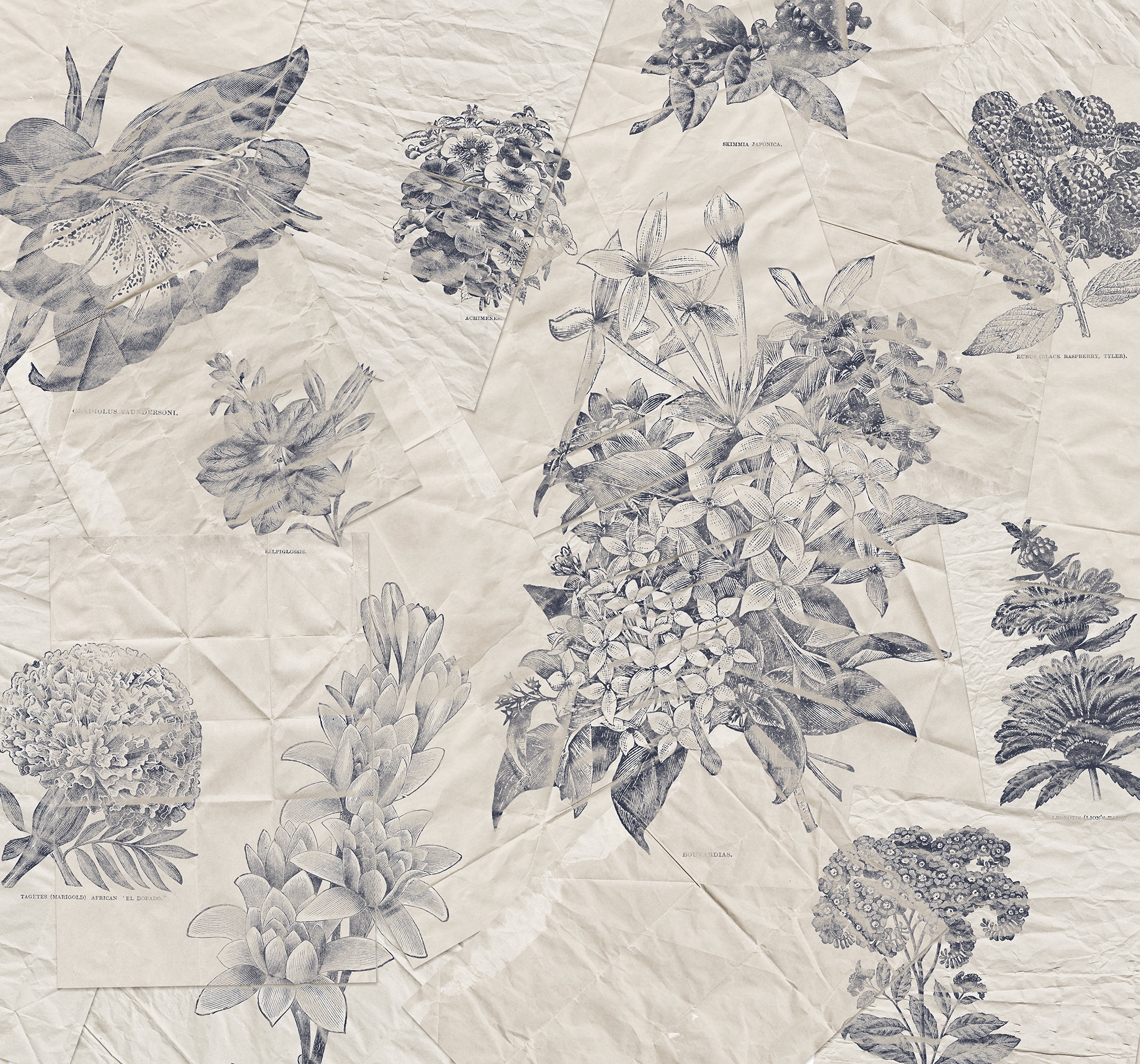 Image of Komar Fototapete "Digitaldruck Vlies - Botanical Papers - Grösse 300 x 280 cm" bedruckt glatt Vlies Fototapete - Botanical Papers - Grösse 300 x 280 cm