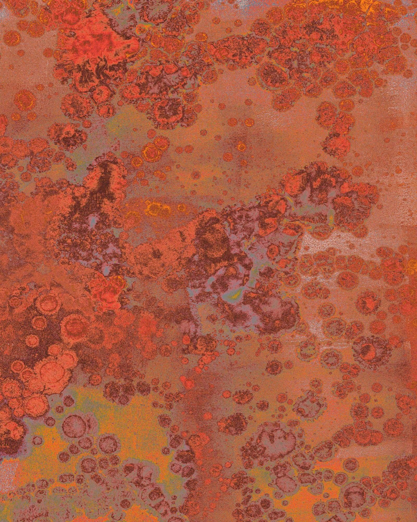Image of Komar Vliestapete »Patina«, naturalistisch bei Ackermann Versand Schweiz