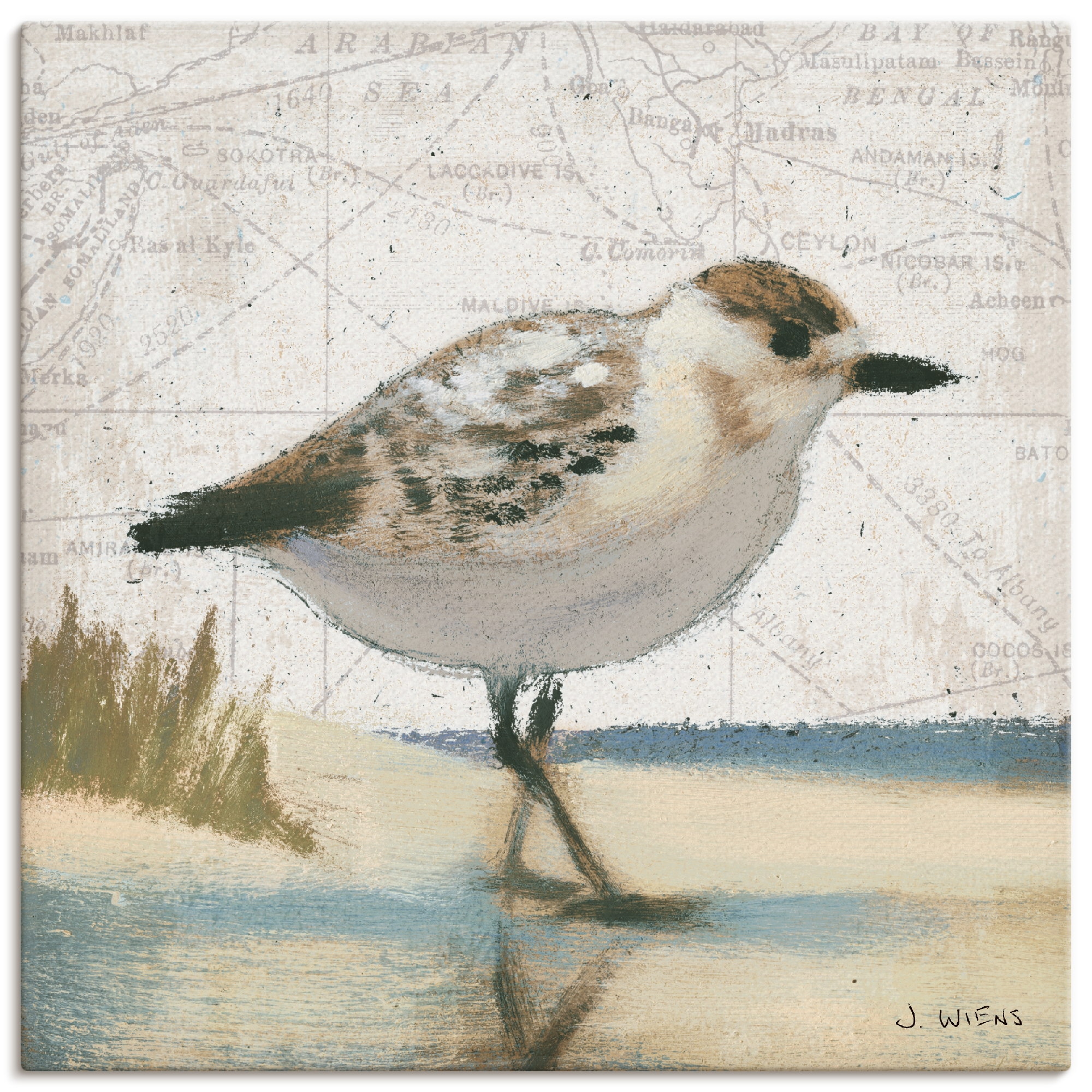 Image of Artland Leinwandbild "Möwe I" Vögel 1 Stk. tlg. auf Holzrahmen gespannt