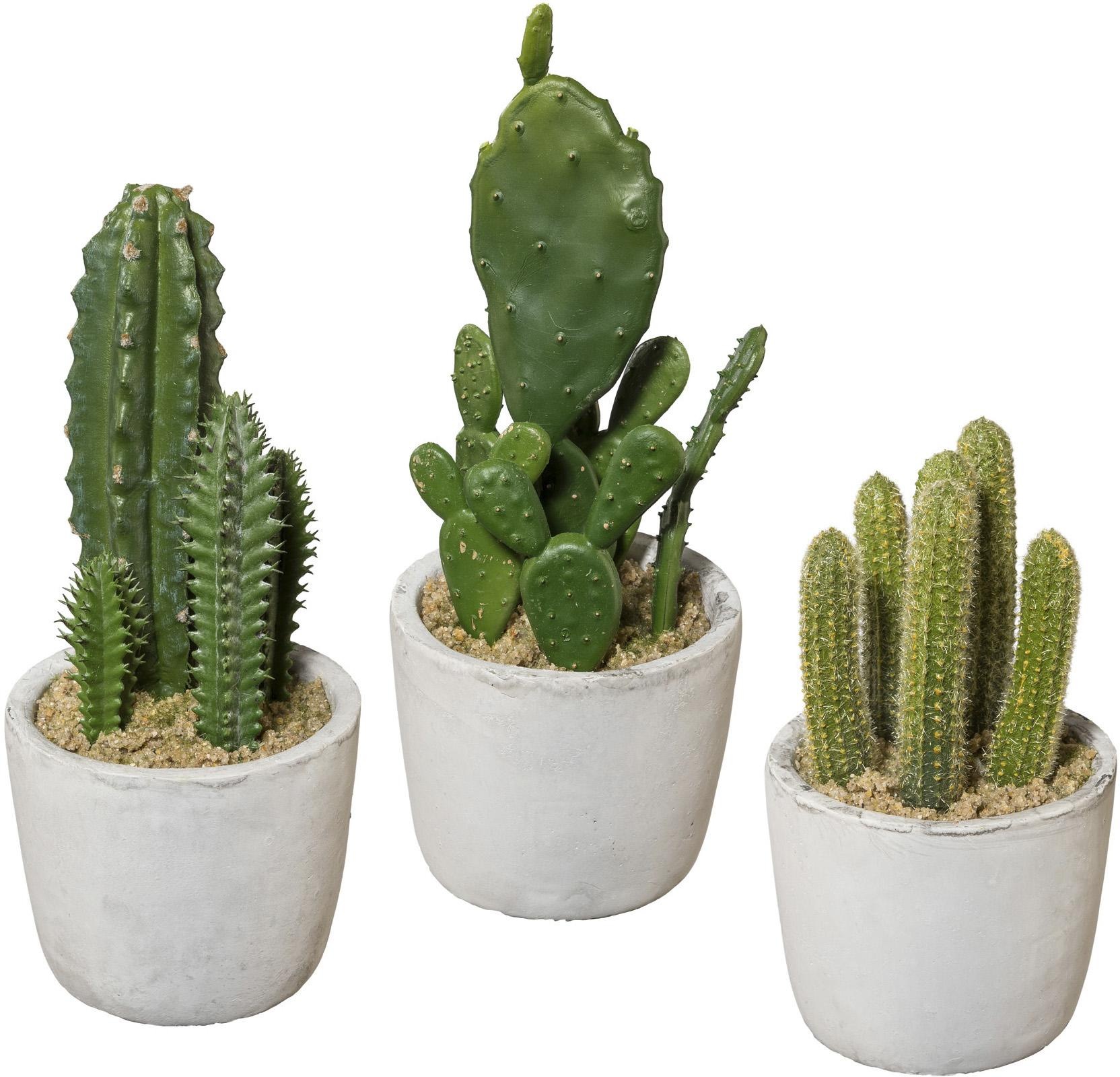 Image of Creativ green Kunstkaktus, (Set, 3 St.) bei Ackermann Versand Schweiz