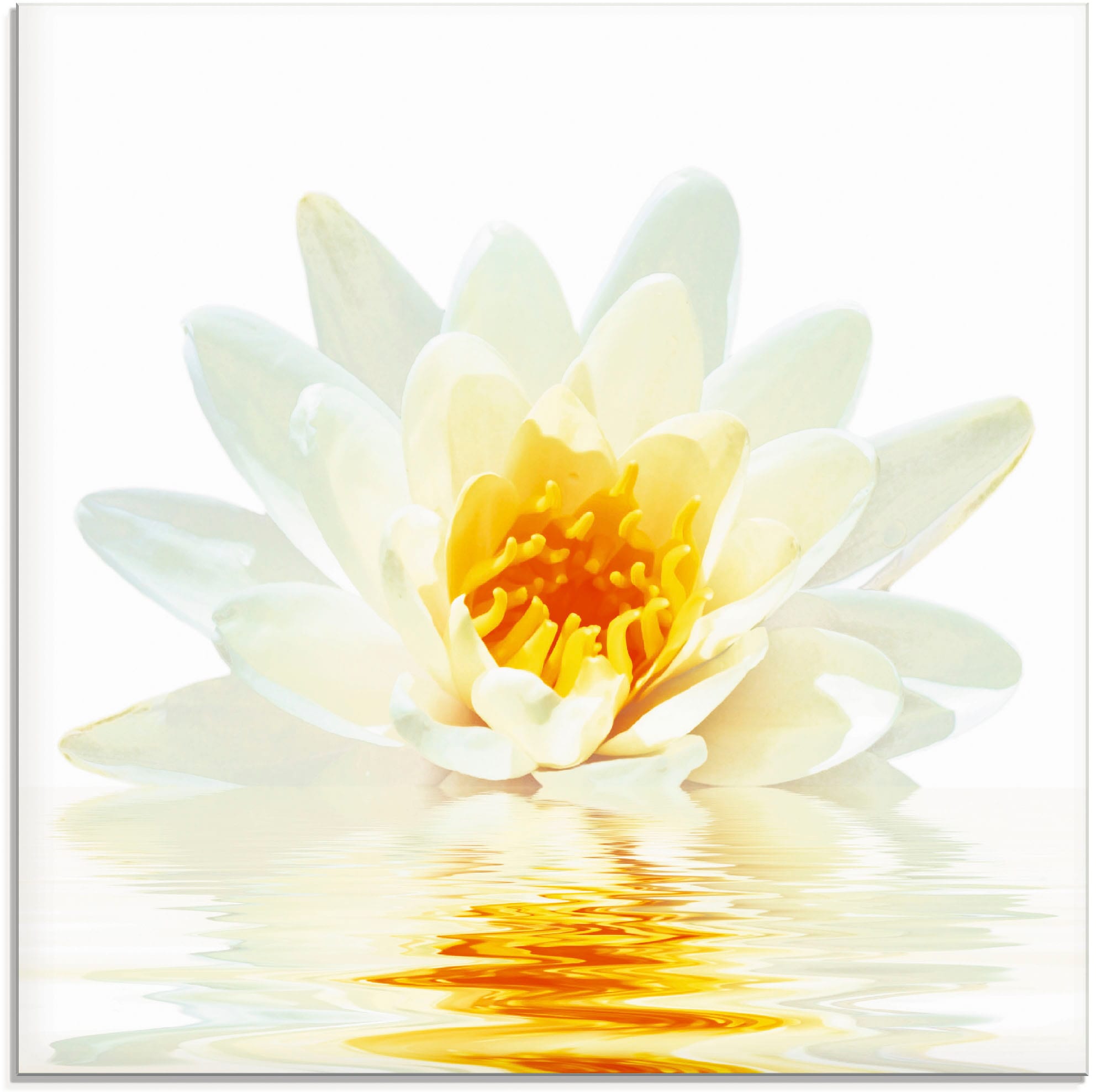 Image of Artland Glasbild "Lotusblume schwimmt im Wasser" Blumen 1 Stk. tlg. in verschiedenen Grössen