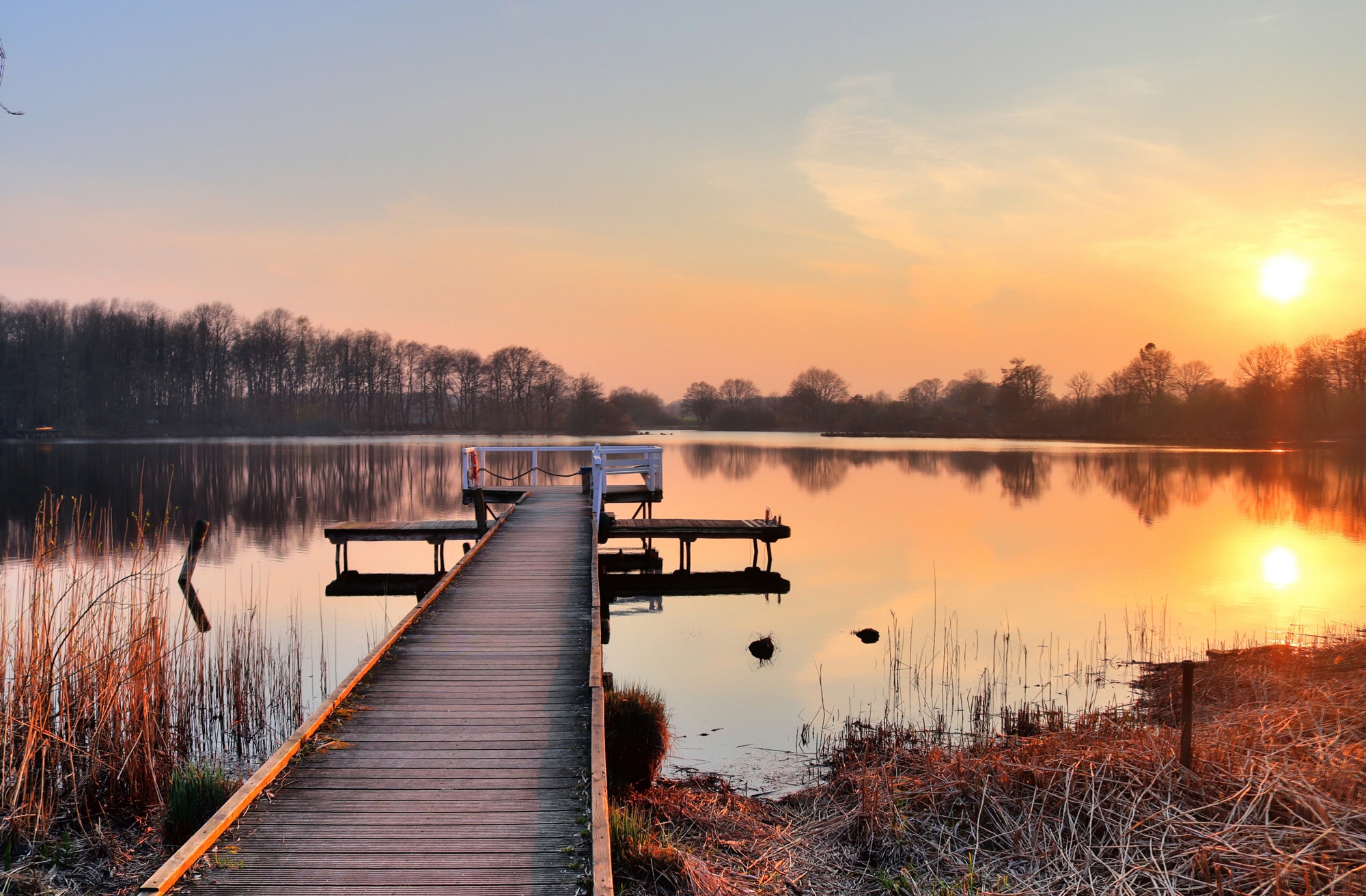 Image of Papermoon Fototapete "HOLZ-BRÜCKE-PIER STEG SEE STRAND WALD SONNENUNTERGANG"