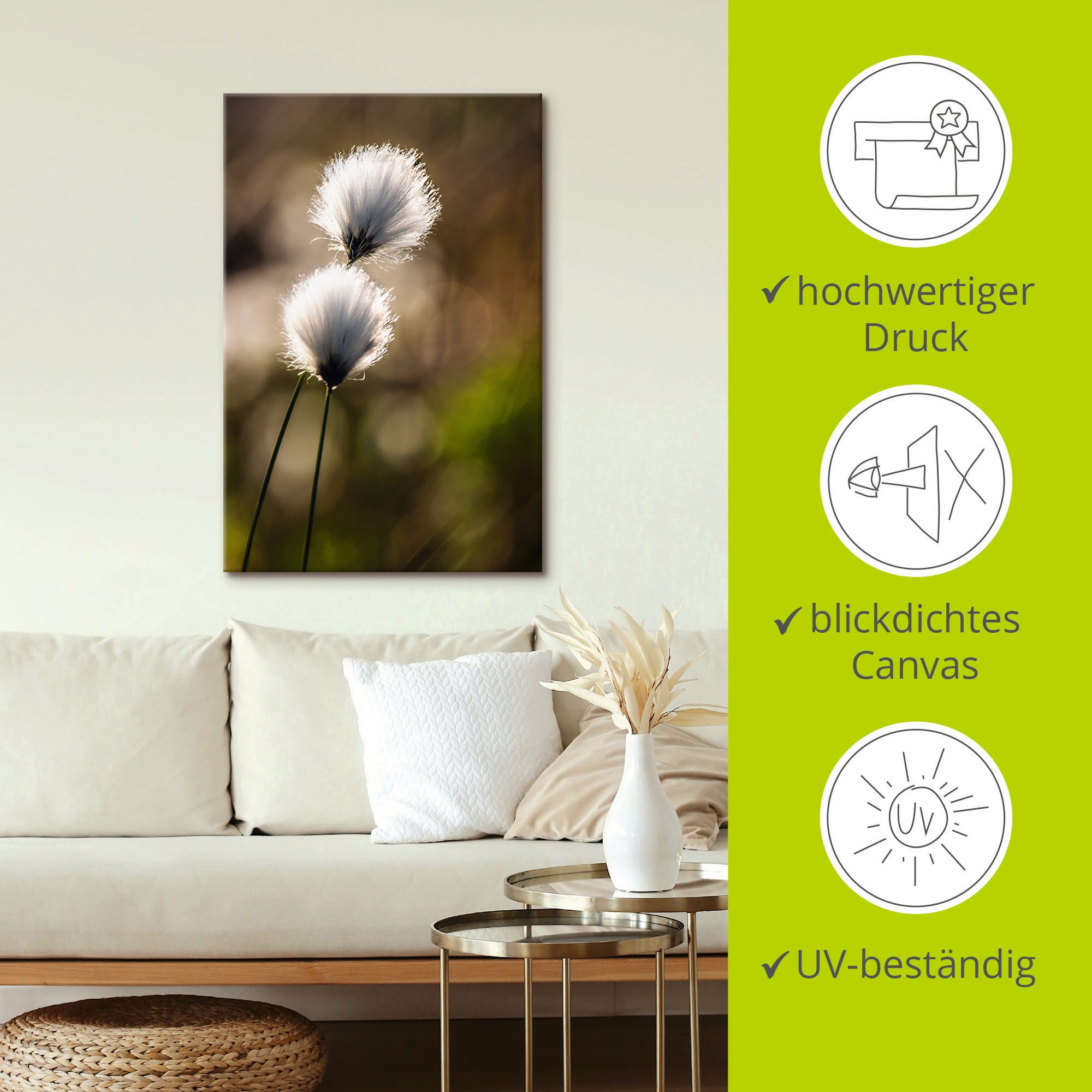 Artland Wandbild »Wollgras I«, Gräser, (1 St.), als Alubild, Outdoorbild, Leinwandbild, Poster in verschied. Grössen