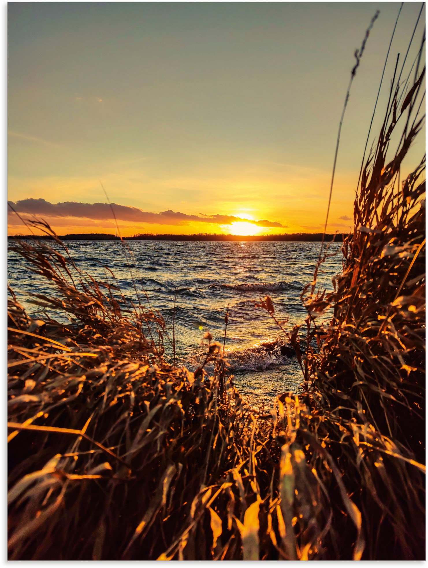 Artland Wandbild »Sonnenuntergang versch. oder im als Leinwandbild, am Alubild, Gewässer, (1 kaufen Poster St.), See Wandaufkleber Schilf«, in Grössen