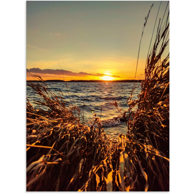 Artland Wandbild »Sonnenuntergang am See im Schilf«, Gewässer, (1 St.), als  Alubild, Leinwandbild, Wandaufkleber oder Poster in versch. Grössen kaufen