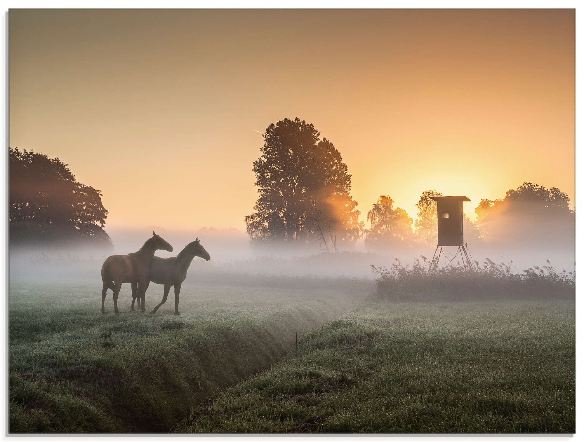 Image of Artland Glasbild »Herbststille«, Haustiere, (1 St.) bei Ackermann Versand Schweiz