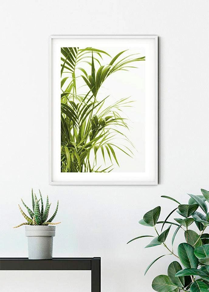 Image of Komar Bild "Reed Leaves" Blätter Pflanzen 1 Stk. tlg. Wandbild zur Dekoration - ohne Rahmen