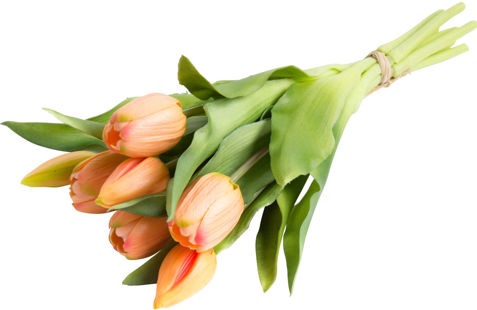 Botanic-Haus Kunstblume »Willa« Tulpenbündel im 7er-Set