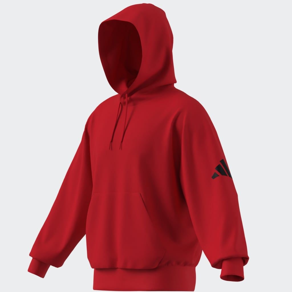 adidas Sportswear Sweat à capuche »M HD FT«

