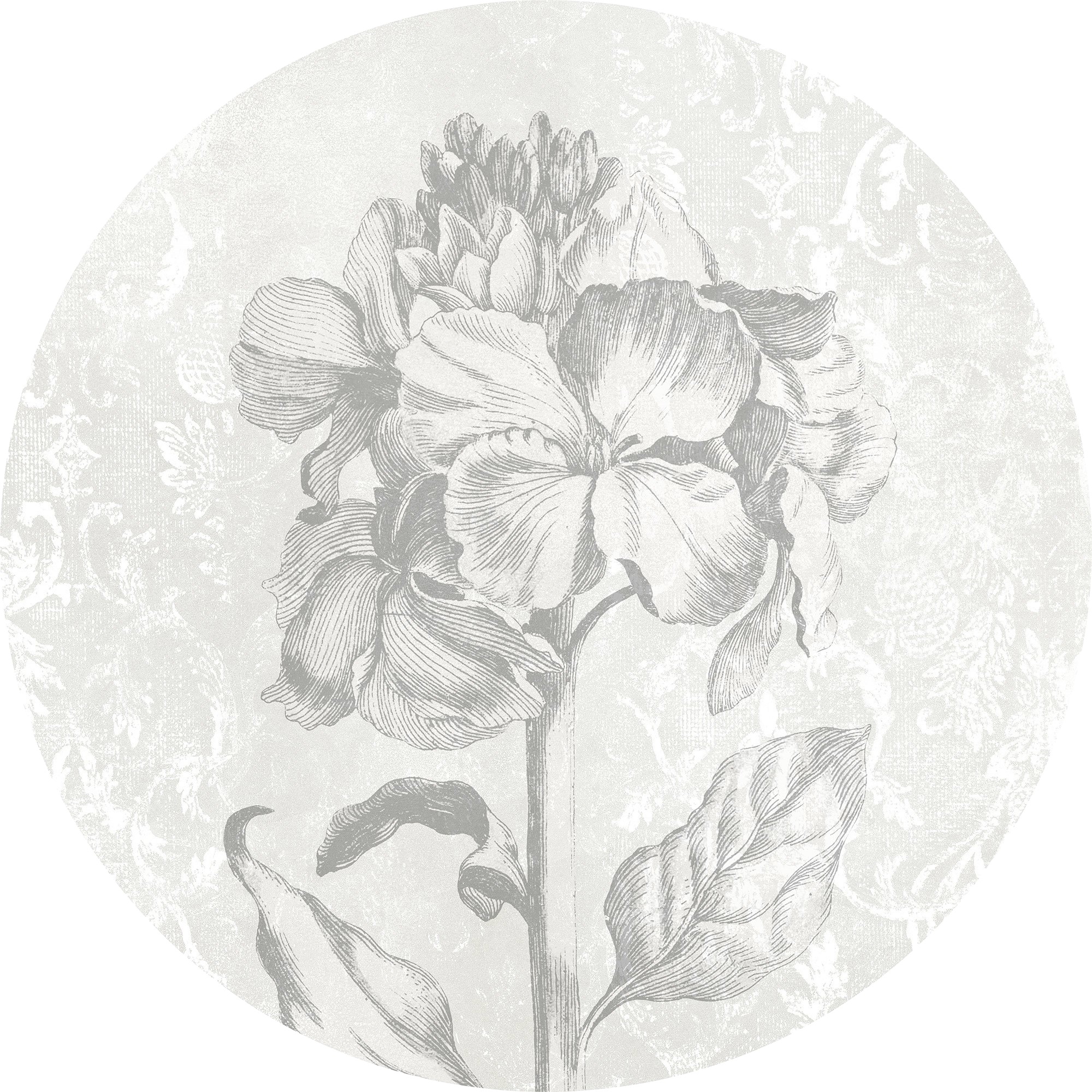 Image of Komar Vliestapete »Barock Beauty«, abstrakt-botanisch bei Ackermann Versand Schweiz