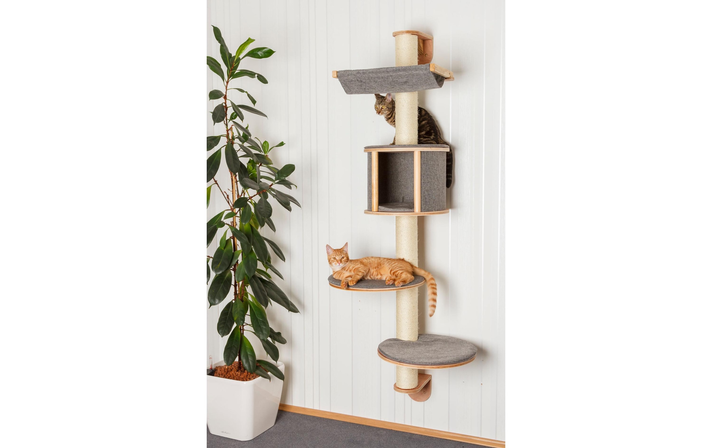 Kerbl Kratzbaum »Dolomit Tofana 168 cm x 75 cm«, hoch