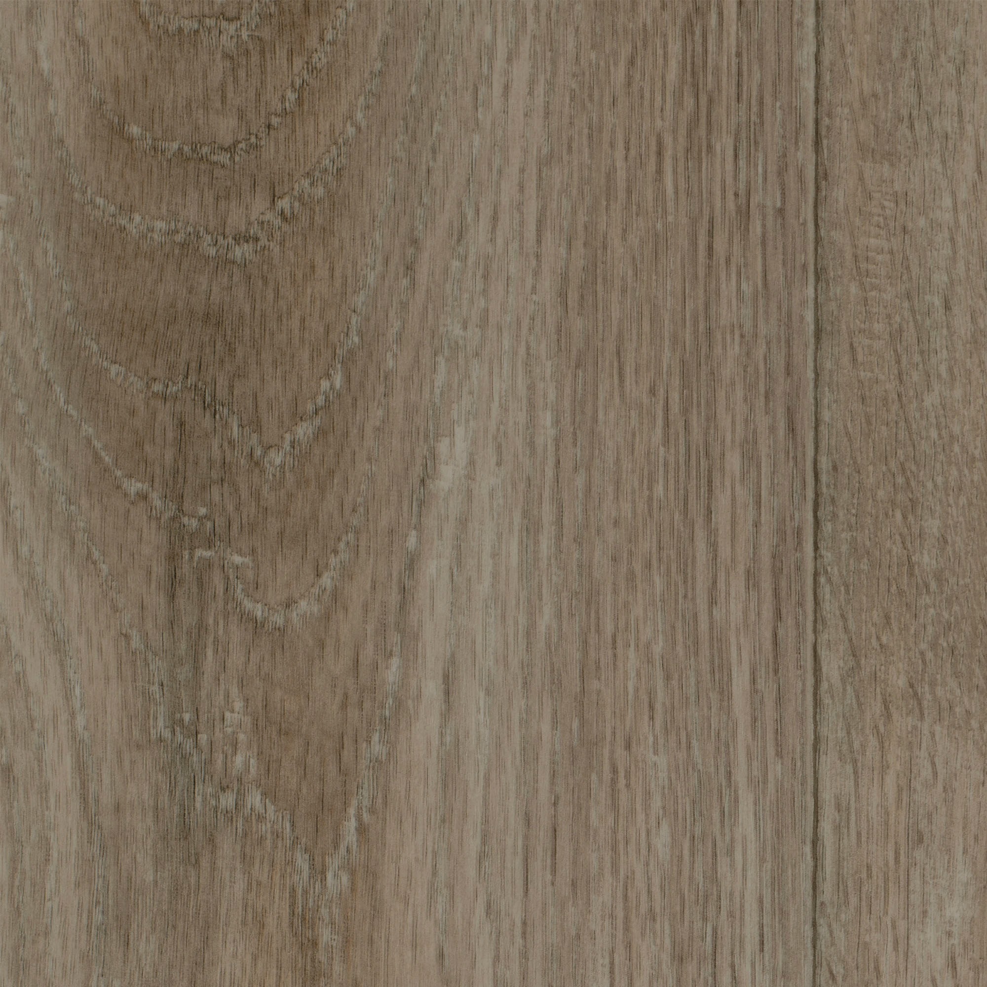 Image of Bodenmeister Vinylboden »PVC Bodenbelag Holzoptik Diele Eiche hell-grau rustikal«, Meterware, Breite 200/300/400 cm bei Ackermann Versand Schweiz