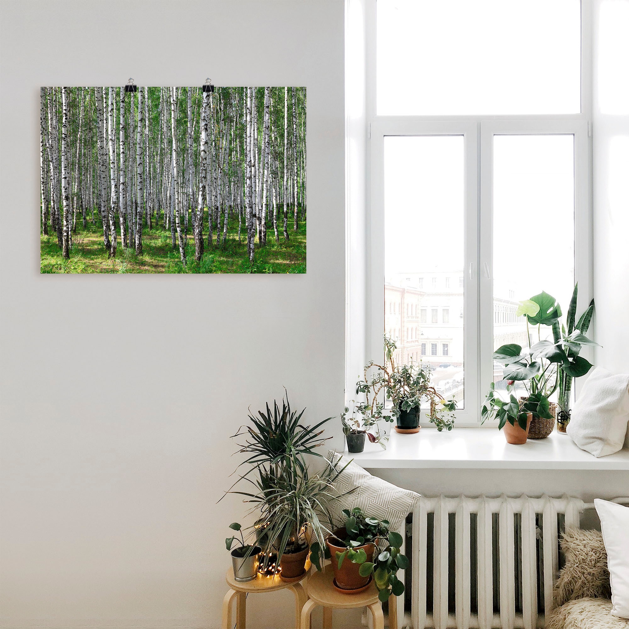Artland Wandbild »Birkenwald«, Wald, (1 St.), als Poster, Wandaufkleber in verschied. Grössen