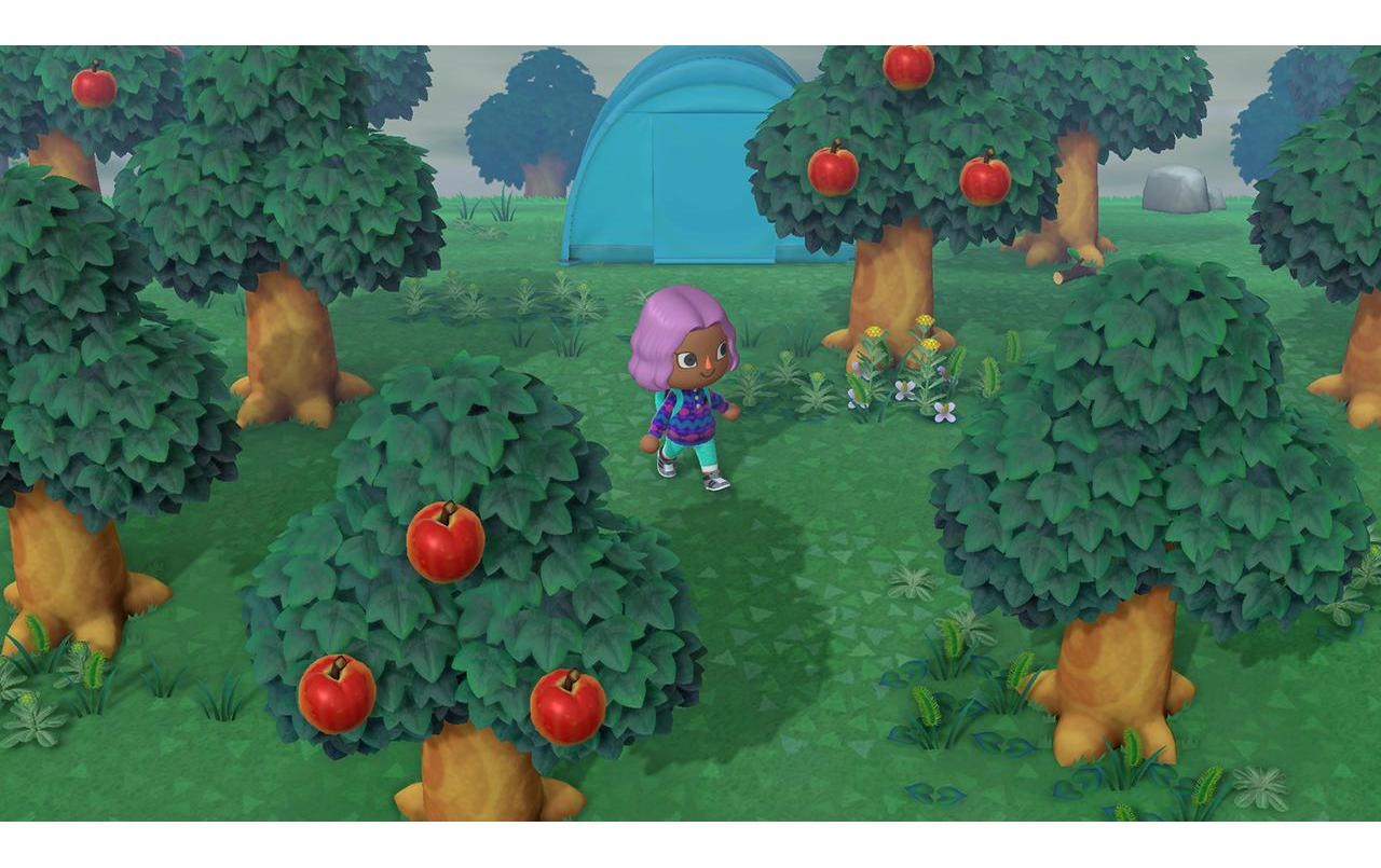 Nintendo Spielesoftware »Animal Crossing: New Horiz«, Nintendo Switch