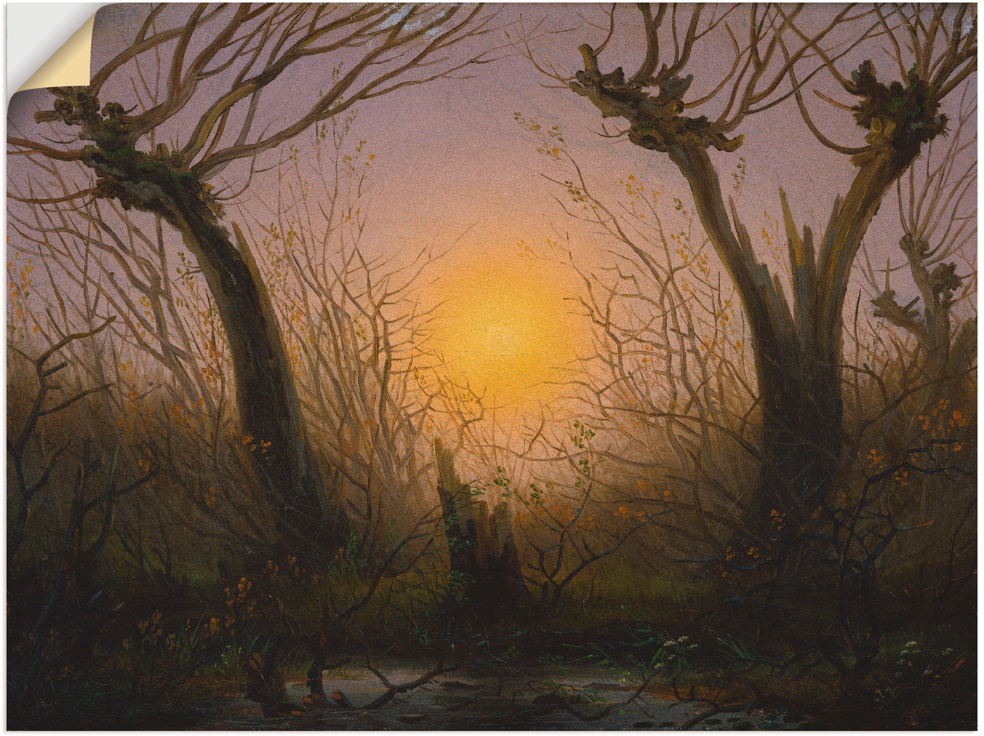 Image of Artland Wandbild »Weidengebüsch bei tiefstehender Sonne.«, Sonnenaufgang & -untergang, (1 St.), in vielen Grössen & Produktarten -Leinwandbild, Poster, Wandaufkleber / Wandtattoo auch für Badezimmer geeignet bei Ackermann Versand Schweiz