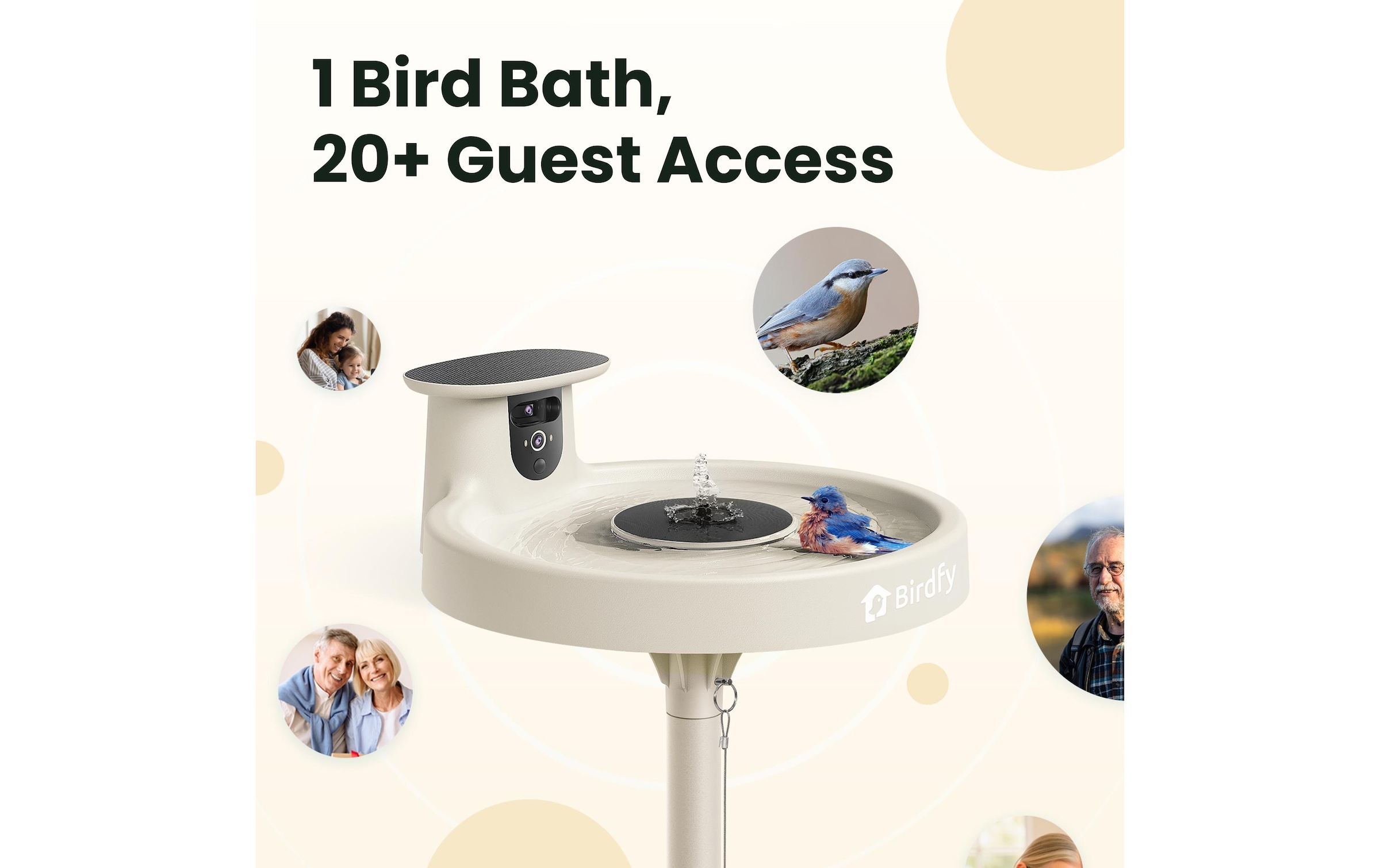 Birdfy Vogeltränke »Vogelbad mit Kamera« Solarbetrieben, KI und Video Vogelerkennung