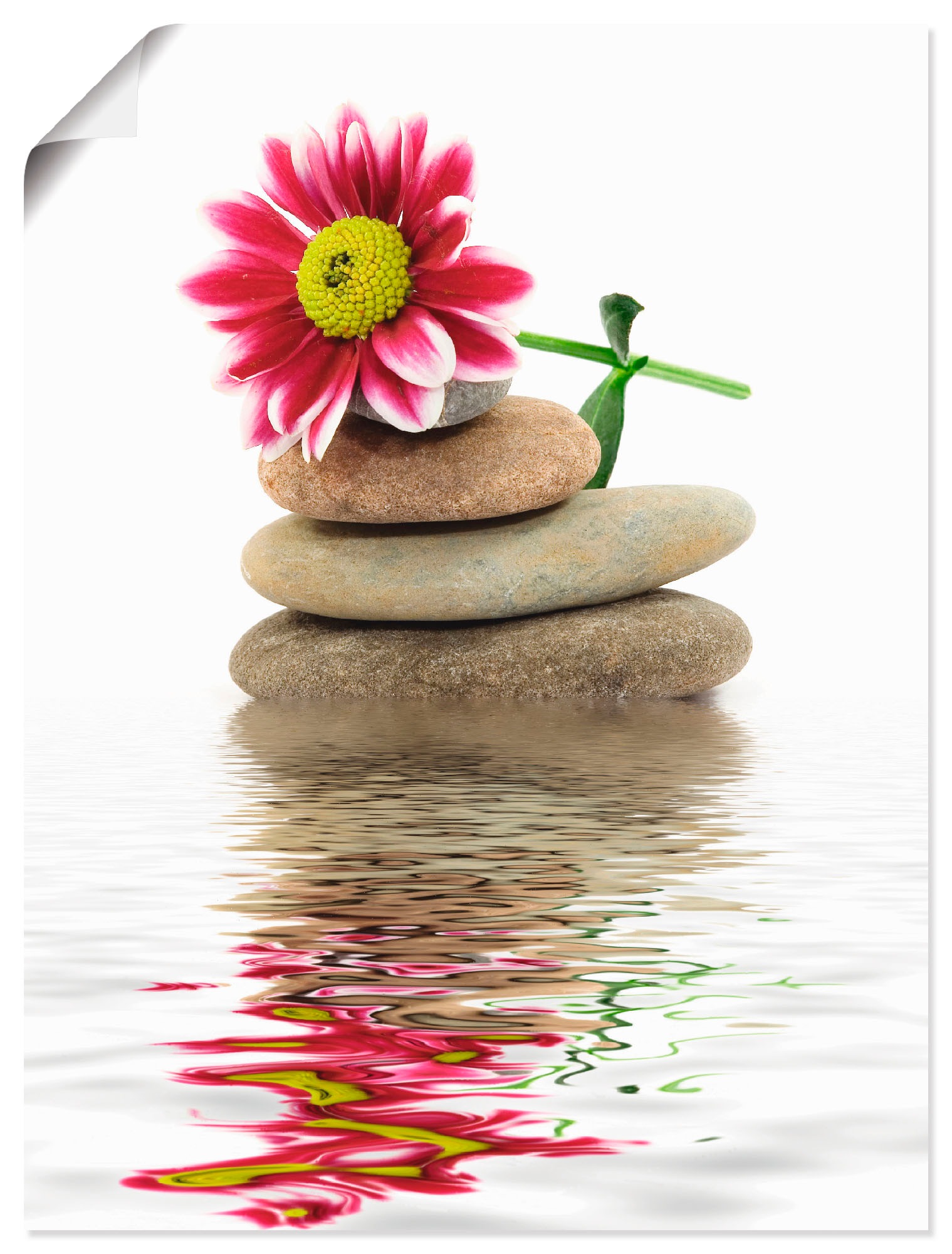 Image of Artland Wandbild »Zen Spa Steine mit Blumen«, Zen, (1 St.), in vielen Grössen & Produktarten - Alubild / Outdoorbild für den Aussenbereich, Leinwandbild, Poster, Wandaufkleber / Wandtattoo auch für Badezimmer geeignet bei Ackermann Versand Schweiz