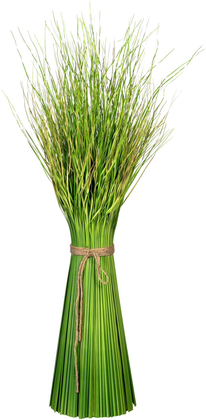 Image of Creativ green Kunstgras »Grasbusch Dancing Queen«, (1 St.) bei Ackermann Versand Schweiz