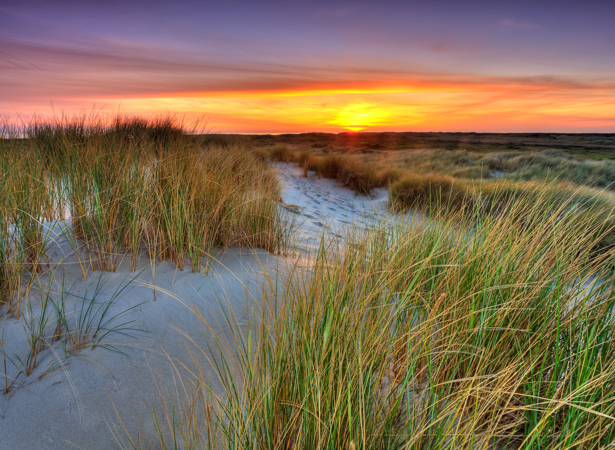 Image of Papermoon Fototapete "Dunes Sunset" glatt