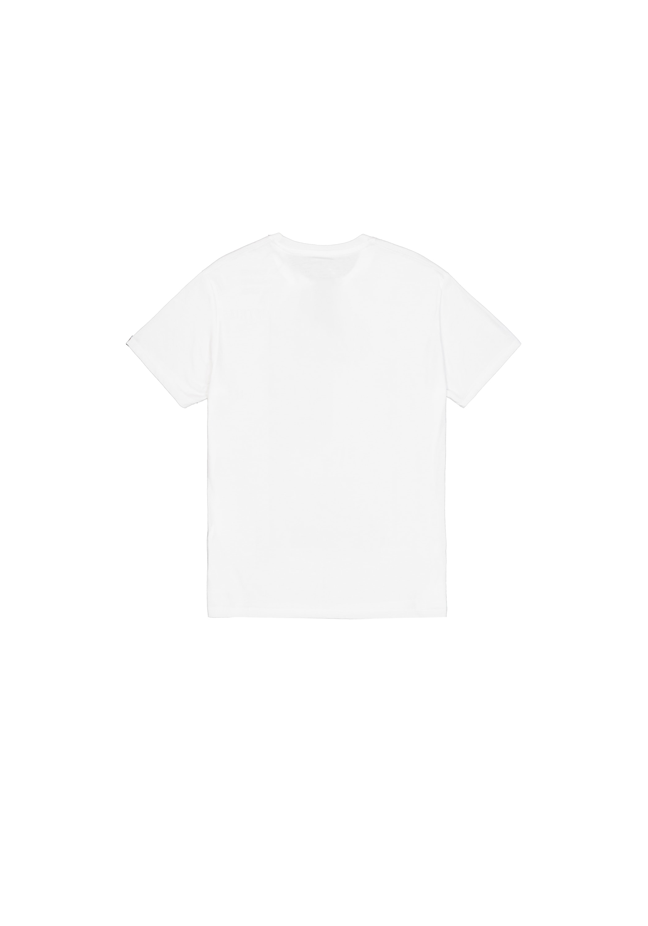Alpha Industries T-Shirt »Alpha Industries Men - T-Shirts Basic T-Shirt BL V-Neck«
