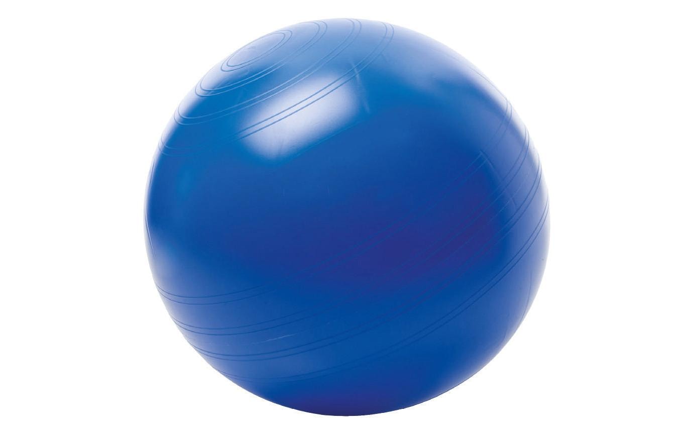 Togu Sitzball »ABS«