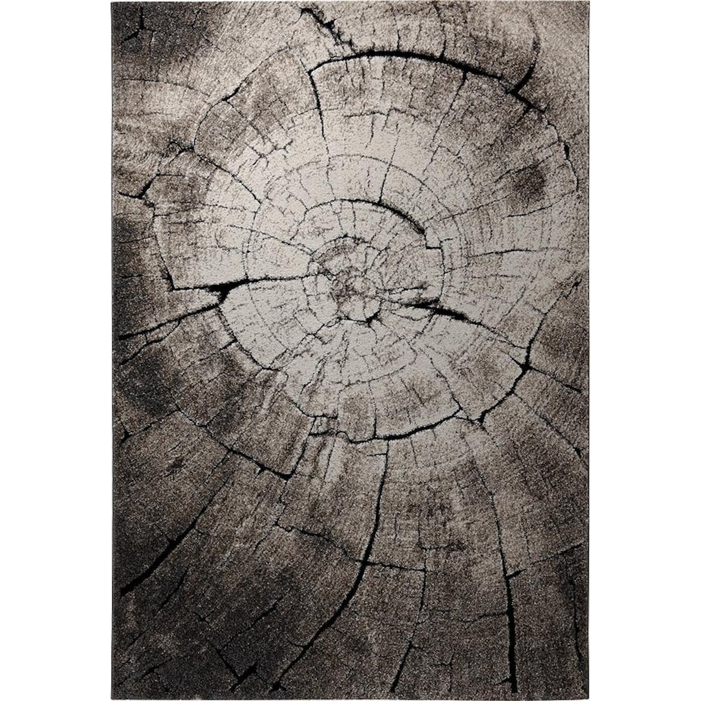 Wecon home Teppich »Wild Oak«, rechteckig