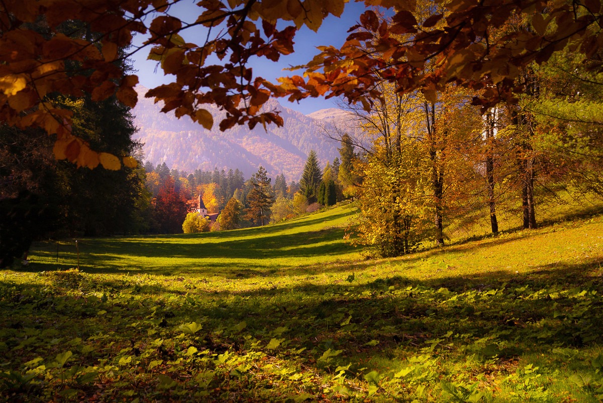 Image of Papermoon Fototapete »Boot im See«, Vliestapete, hochwertiger Digitaldruck, inklusive Kleister bei Ackermann Versand Schweiz