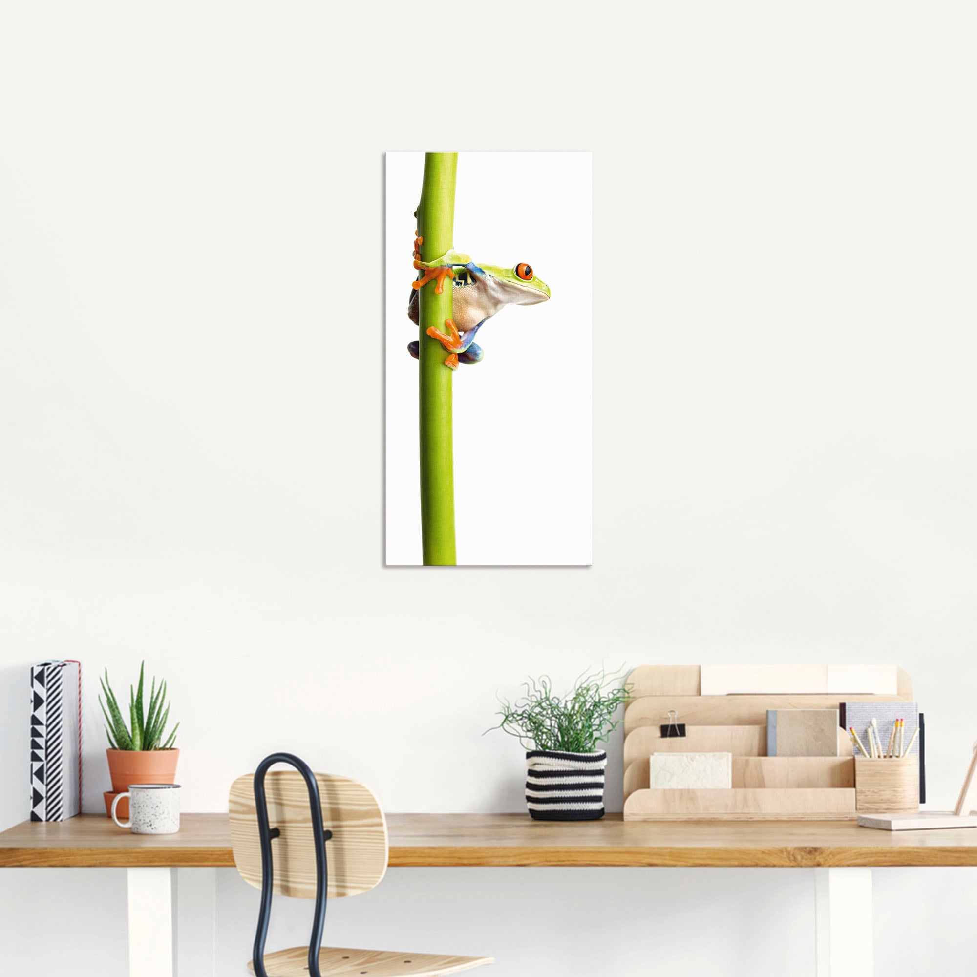 Artland Wandbild »Frosch umfasst einen Pflanzenstengel«, Wassertiere, (1 St.), als Alubild, Outdoorbild, Leinwandbild in verschied. Grössen