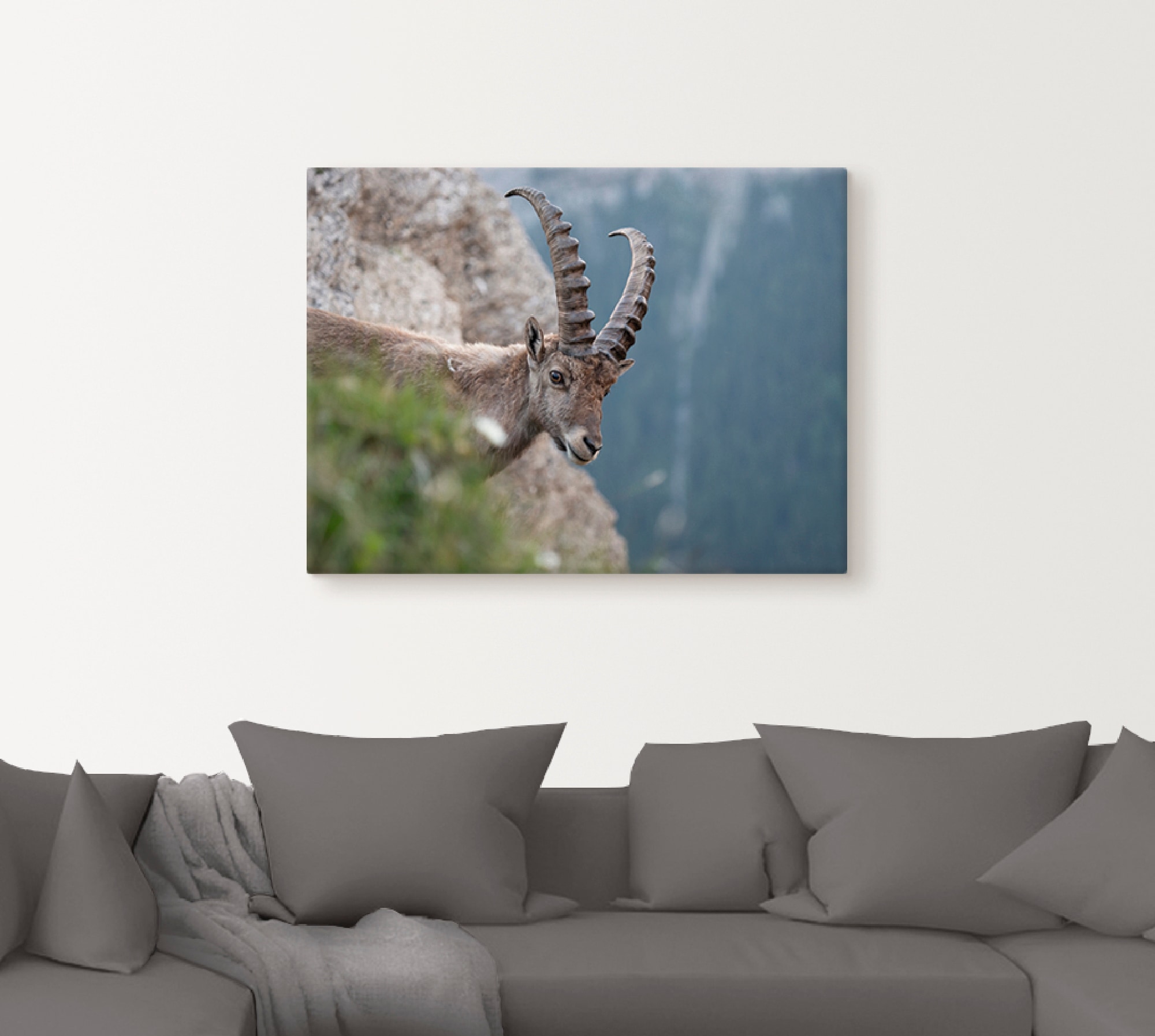 Artland Leinwandbild »Steinbock«, Wildtiere, (1 St.), auf Keilrahmen gespannt