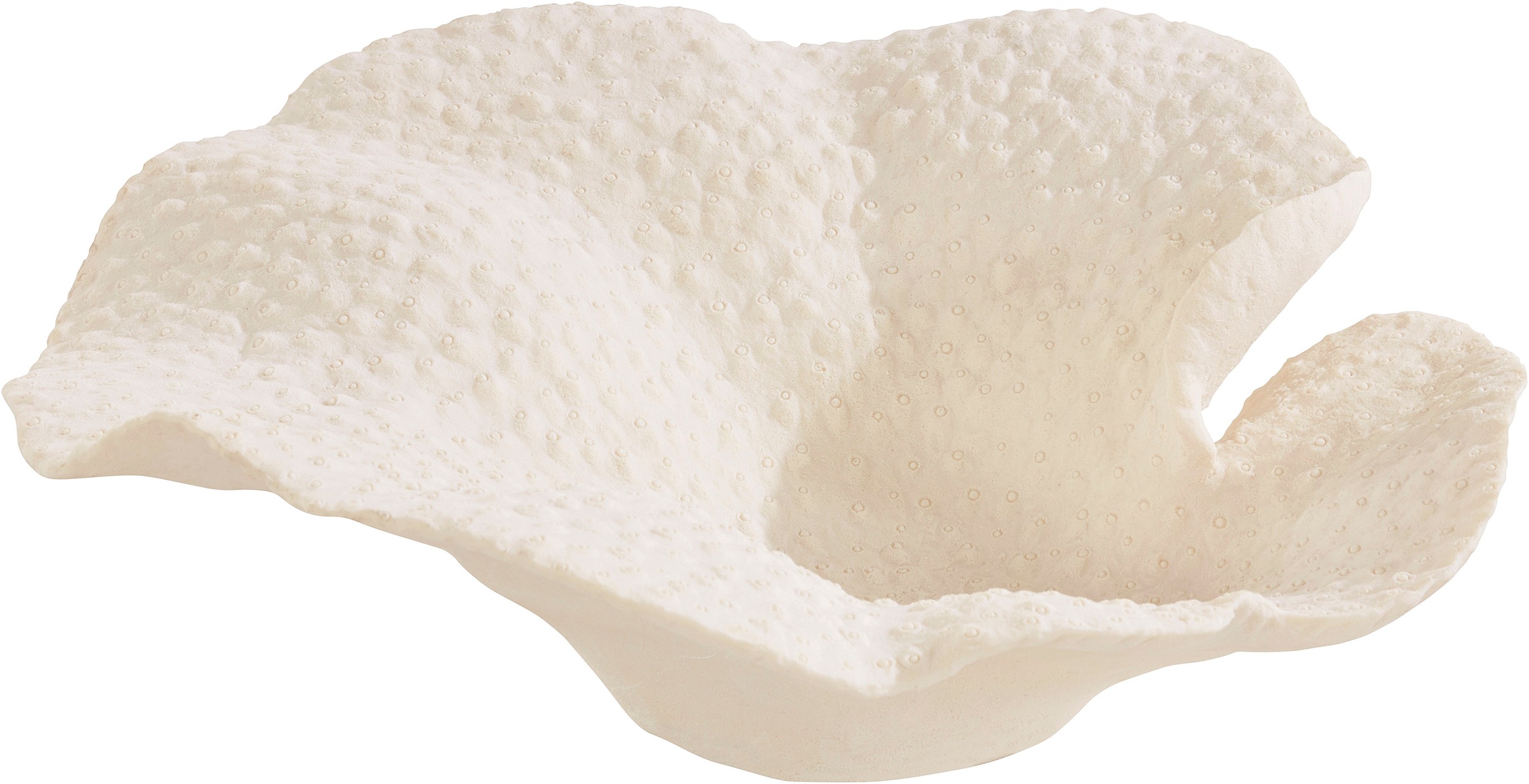 Image of Timbers Dekoschale »Napeague«, (1 St.), dekorativ in Esszimmer & Wohnzimmer bei Ackermann Versand Schweiz