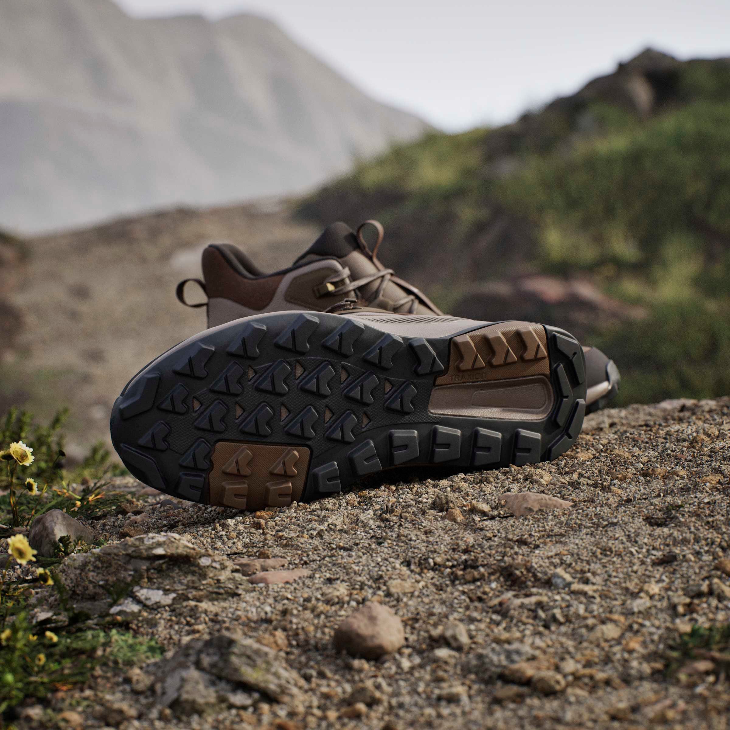 adidas TERREX Wanderschuh »ANYLANDER MID , LEDER«  aus Leder