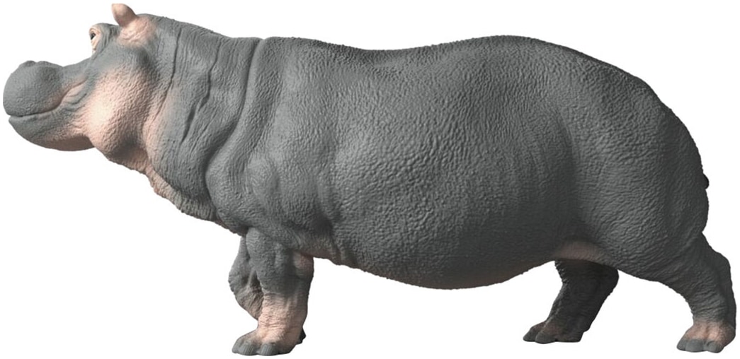 Schleich® Spielfigur »WILD LIFE, Flusspferd (14938)«