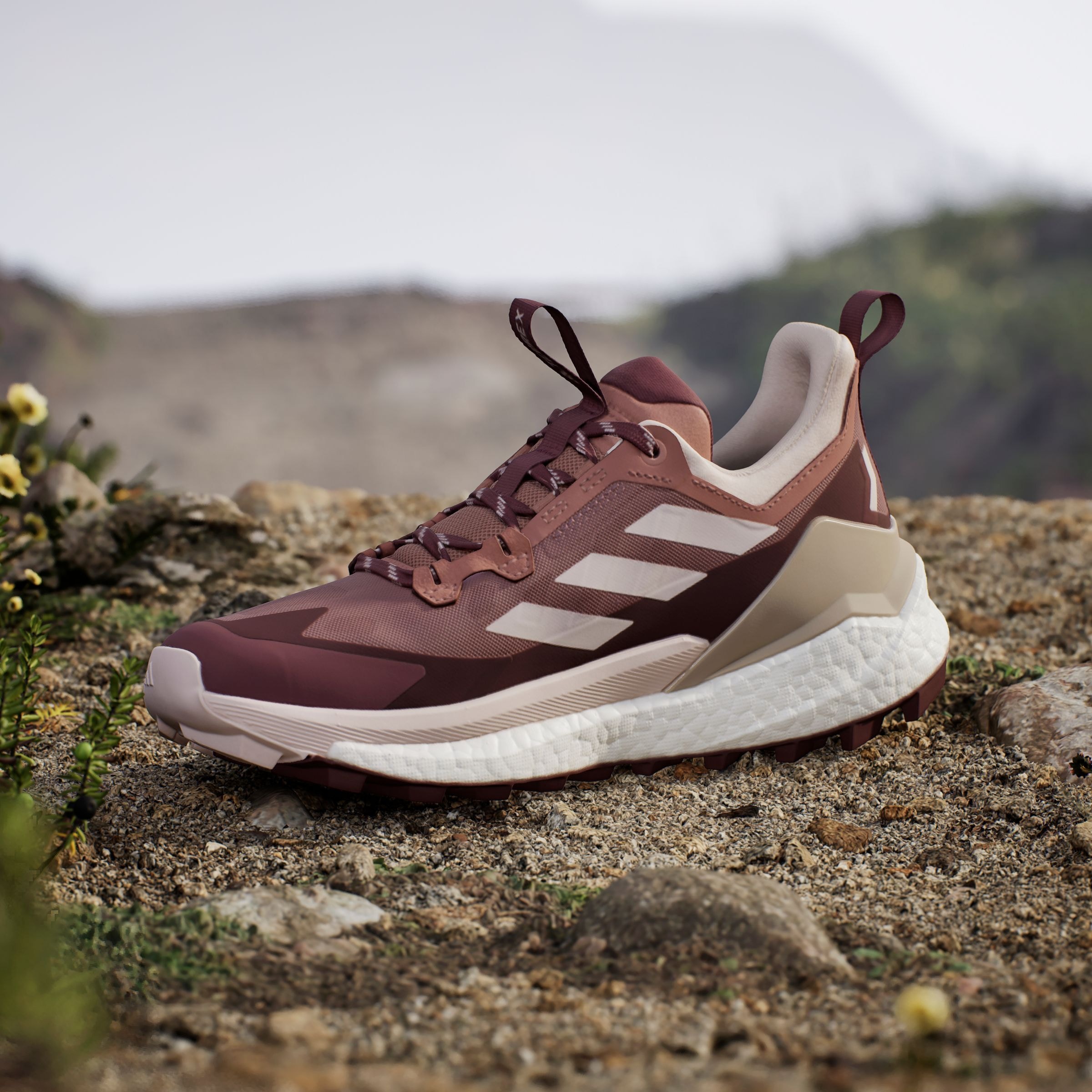 adidas TERREX Wanderschuh »TERREX FREE HIKER 2.0 LOW«