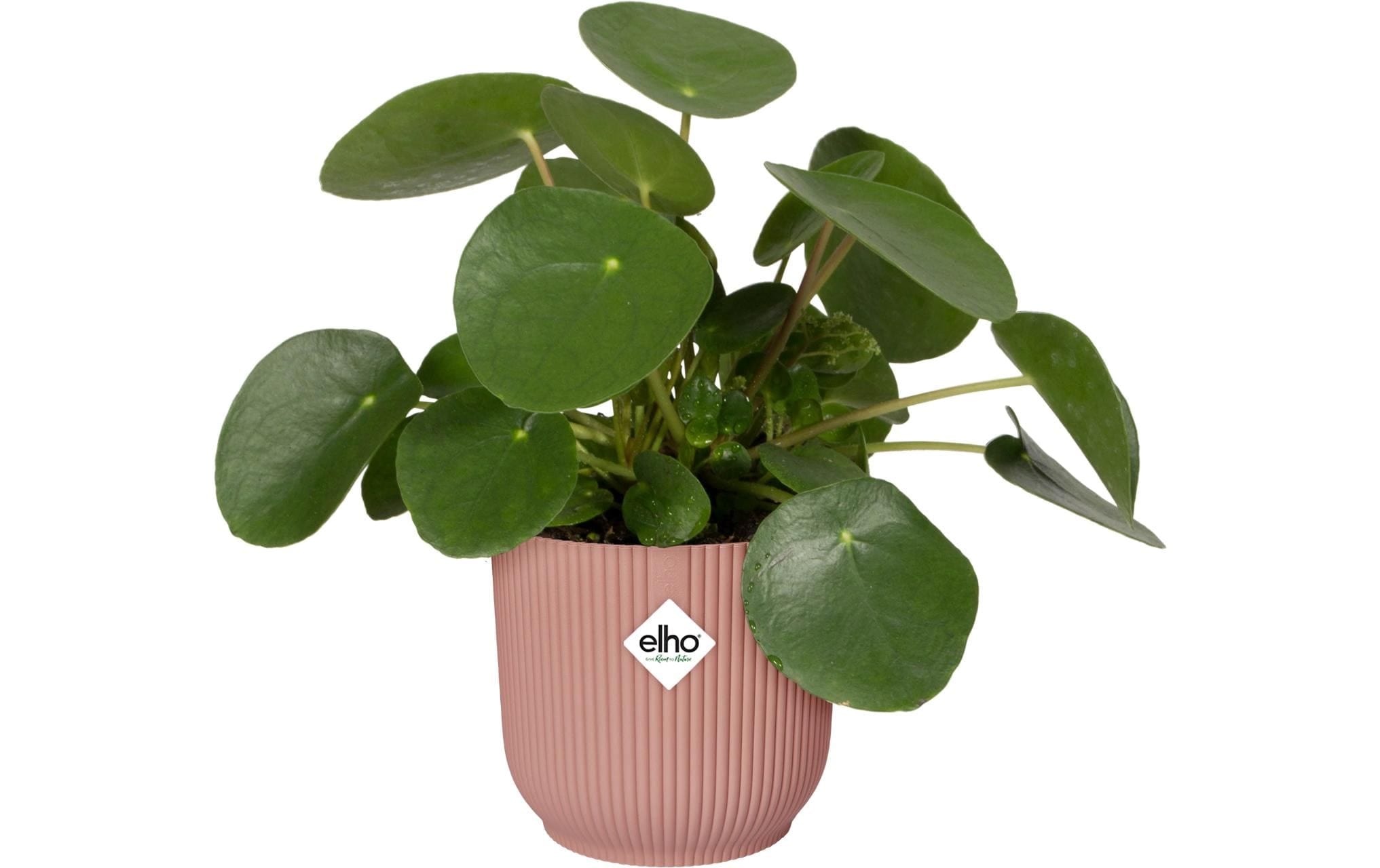 Elho Pot de fleurs »Vibes Fold Rund 30 cm«