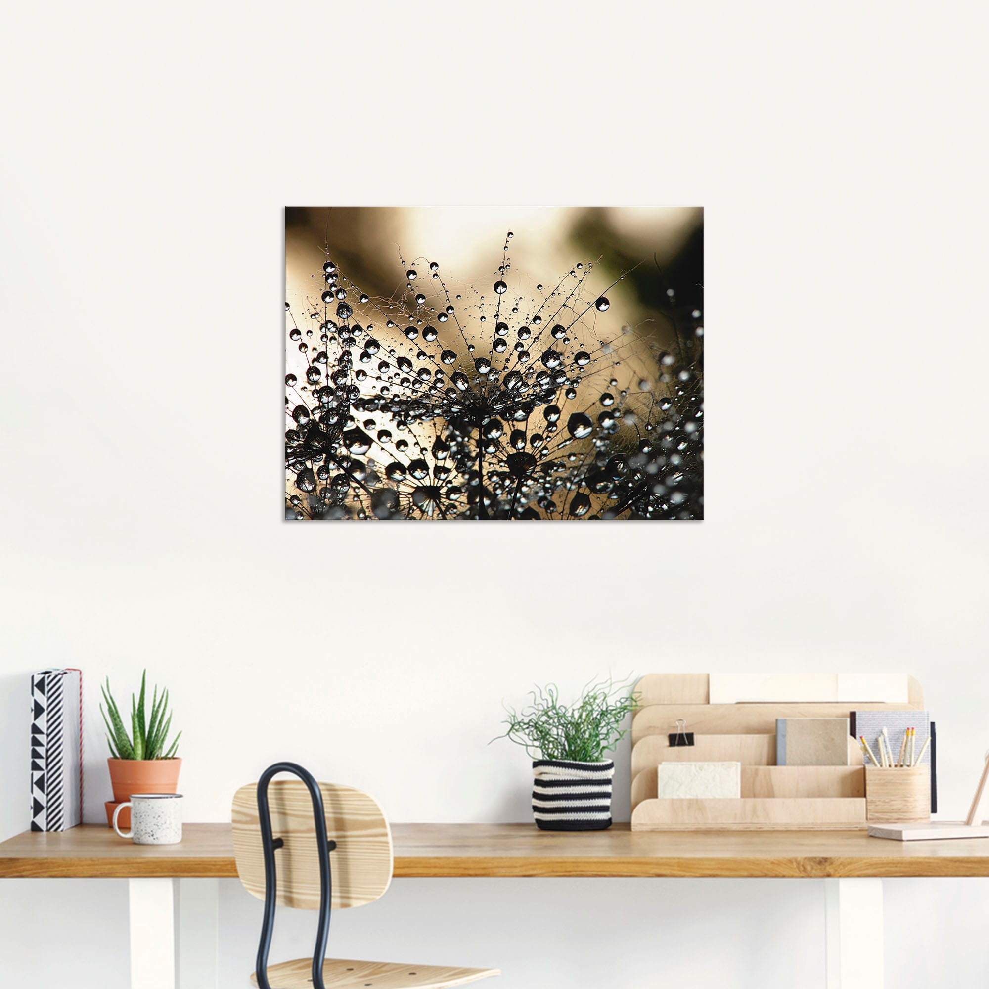 Artland Fresque murale »Nasser Löwenzahn« 1 cuis tlg. als Alubild, Leinwandbild in verschied. Grössen