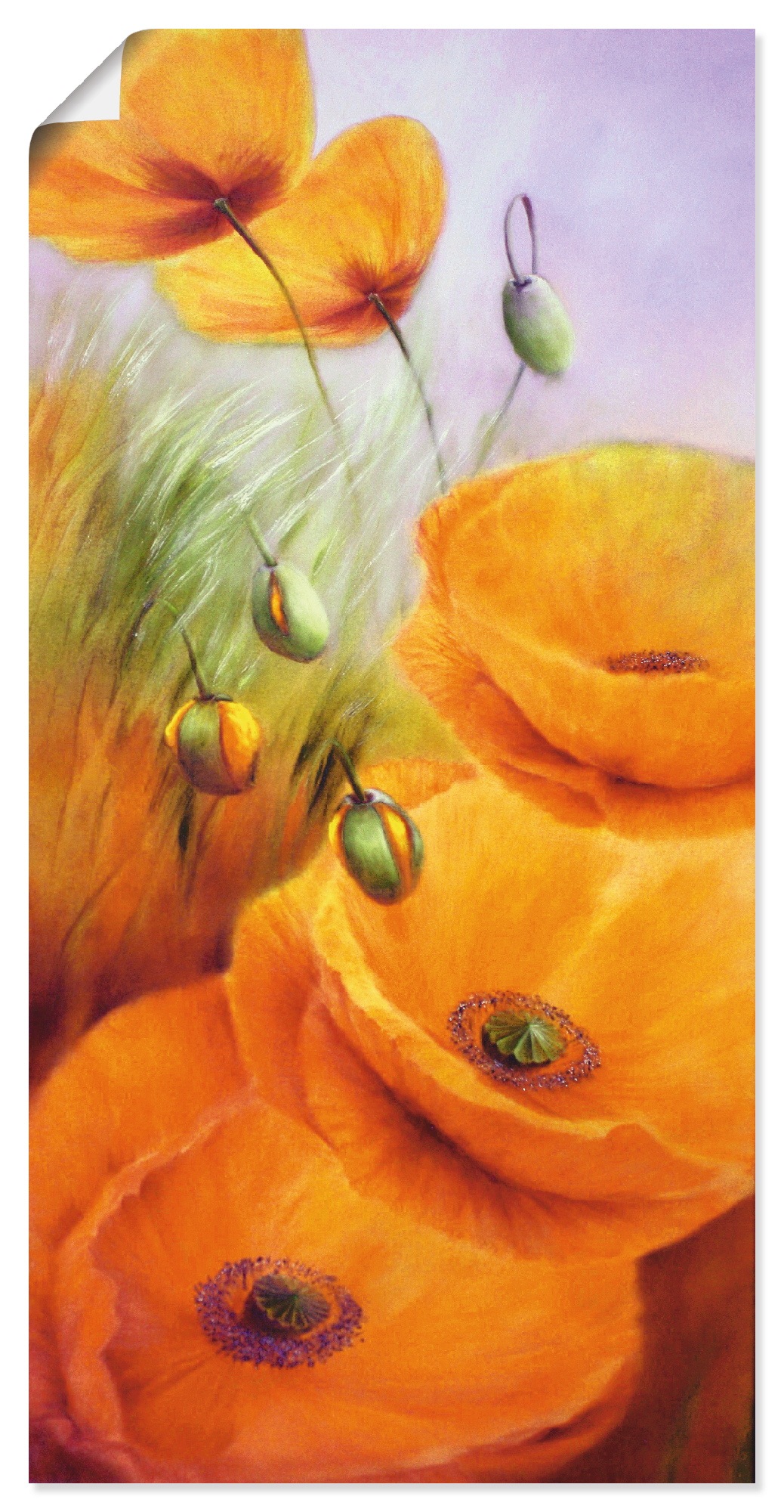 Image of Artland Wandbild »Keine Wolkentage mehr«, Blumen, (1 St.), in vielen Grössen & Produktarten - Alubild / Outdoorbild für den Aussenbereich, Leinwandbild, Poster, Wandaufkleber / Wandtattoo auch für Badezimmer geeignet bei Ackermann Versand Schweiz