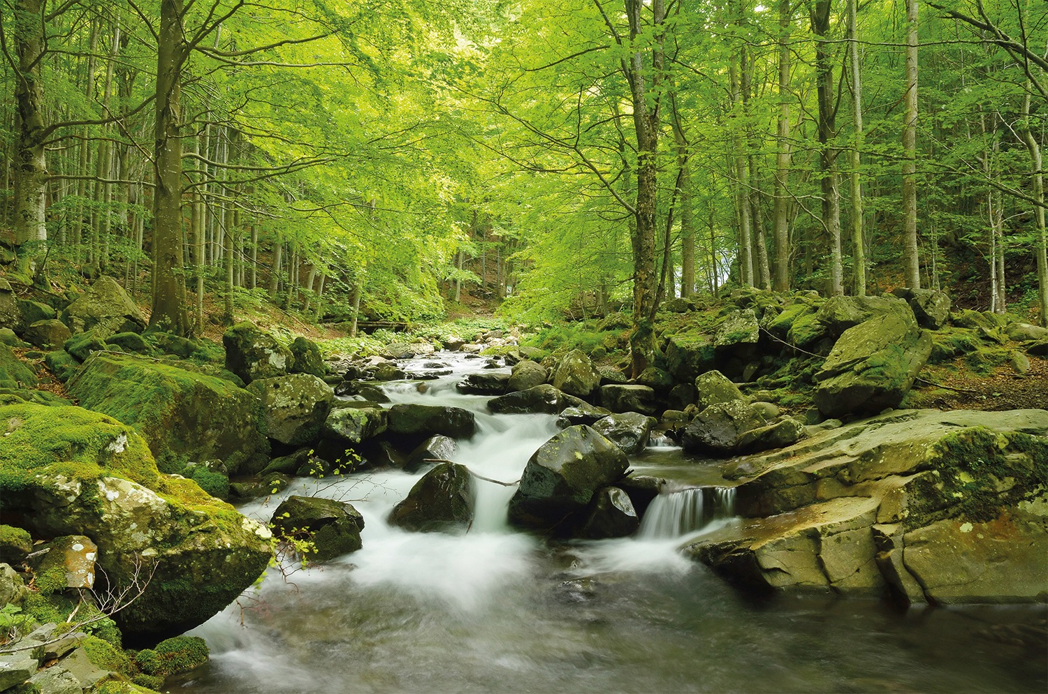 Image of Papermoon Fototapete »Soft Water Stream« bei Ackermann Versand Schweiz