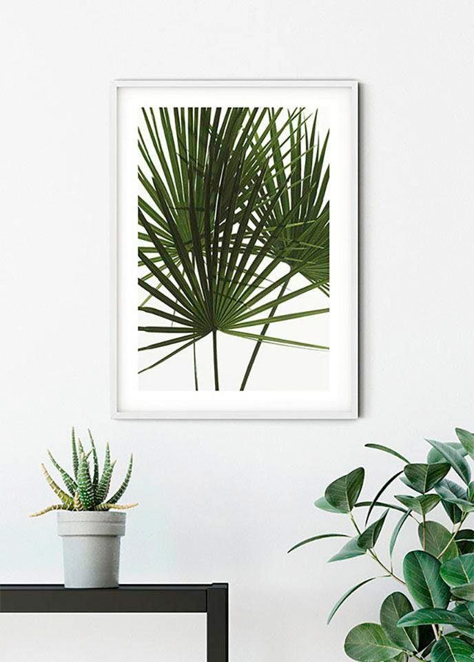 Komar Bild »Palmtree Leaves« Pflanzen 1 Stk. tlg. Wandbild zur Dekoration - ohne Rahmen