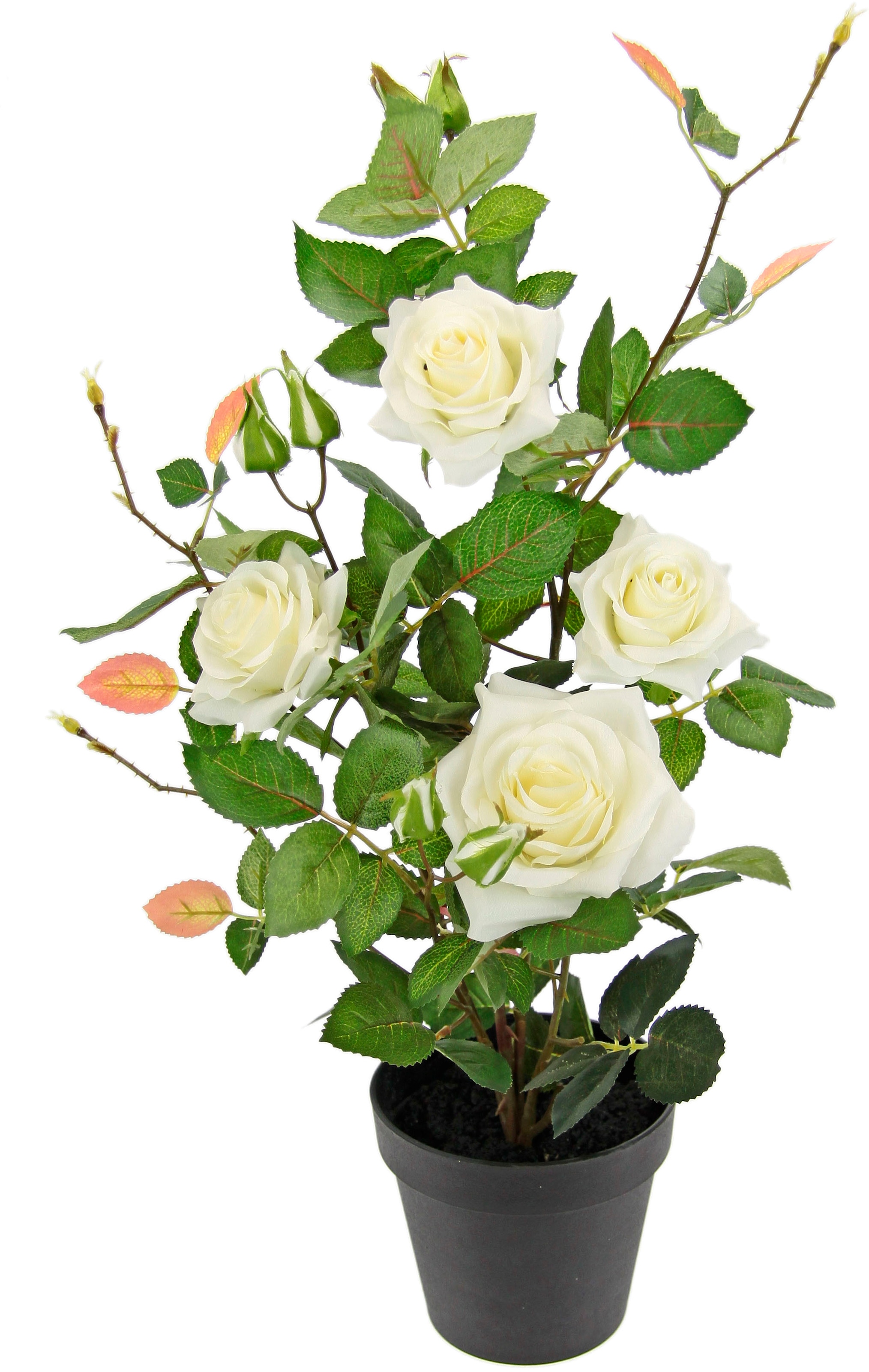 I.GE.A. Kunstbaum "Rosenbusch im Topf" Kunstrosen Kunstpflanzen Rosenstrauch Deko Hochzeit