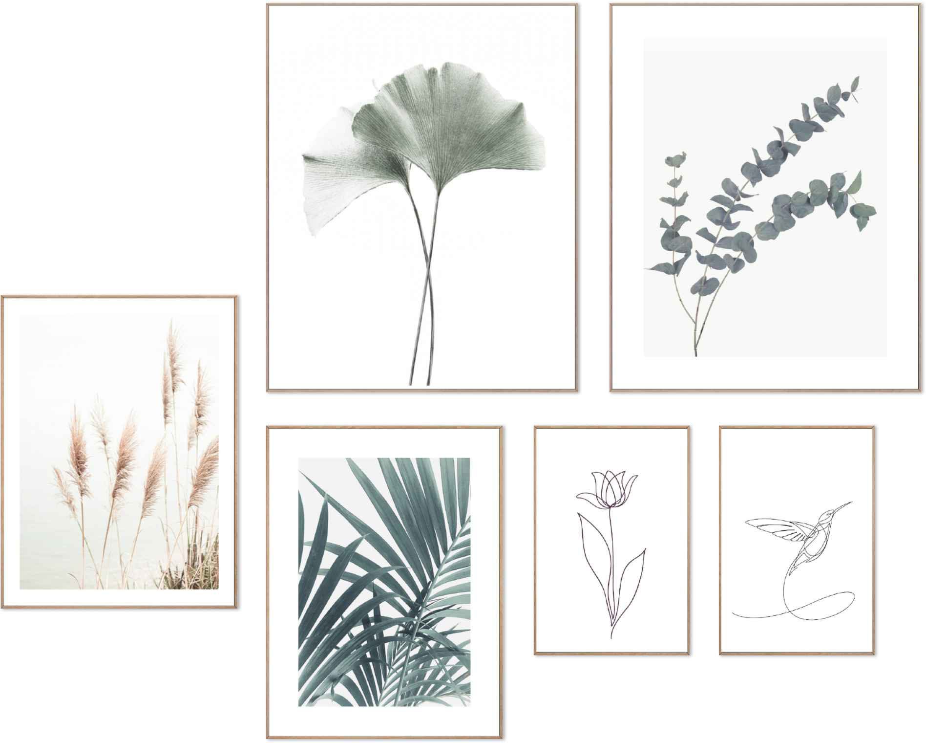 Image of Reinders! Wandbild »Wandbilder Set Botanik Ensemble Vogel - Natur - Pflanz - Kunst«, Natur, (6 St.) bei Ackermann Versand Schweiz