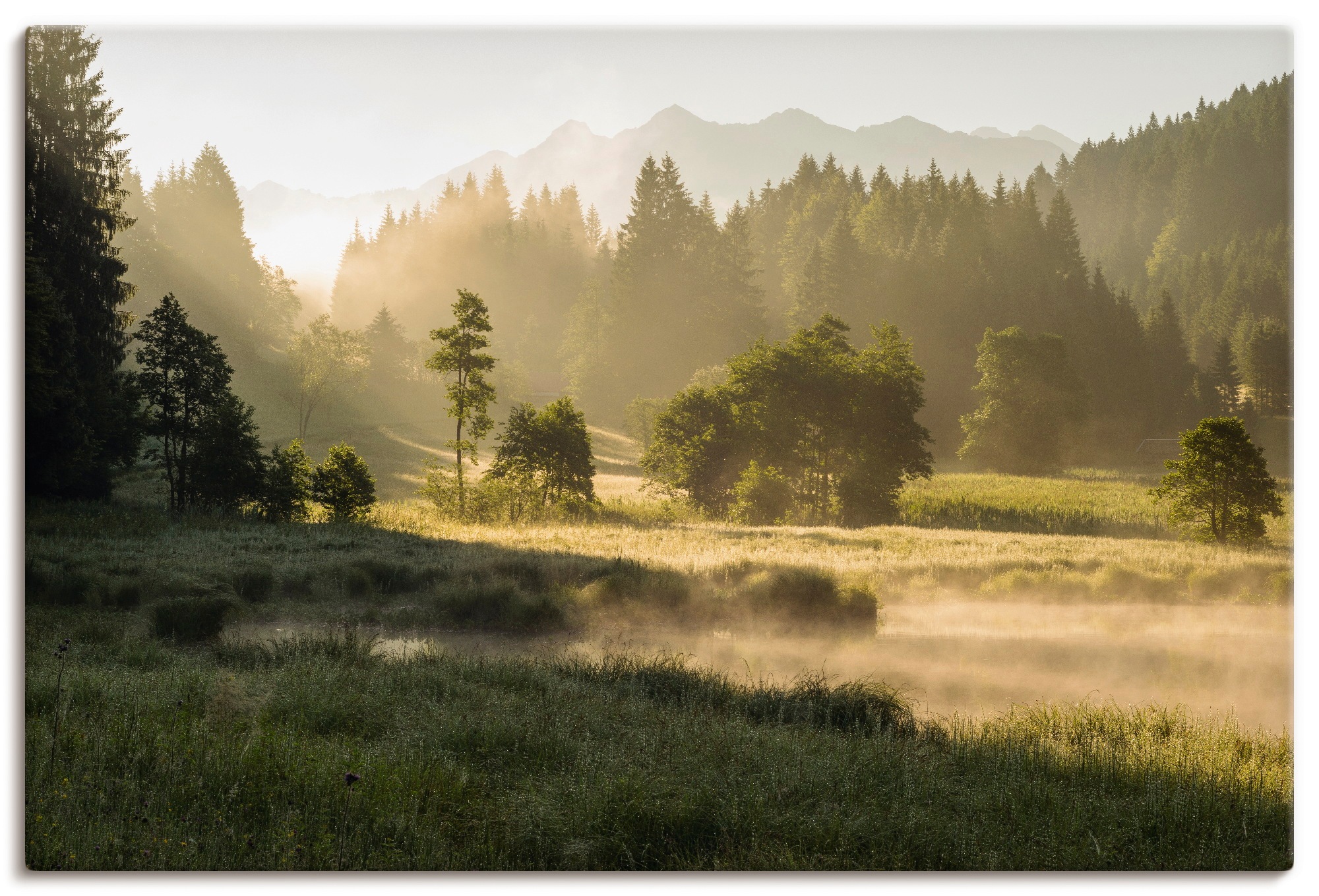 Image of Artland Leinwandbild "Sommermorgen in den Alpen" Wiesen & Bäume 1 Stk. tlg. auf Holzrahmen gespannt