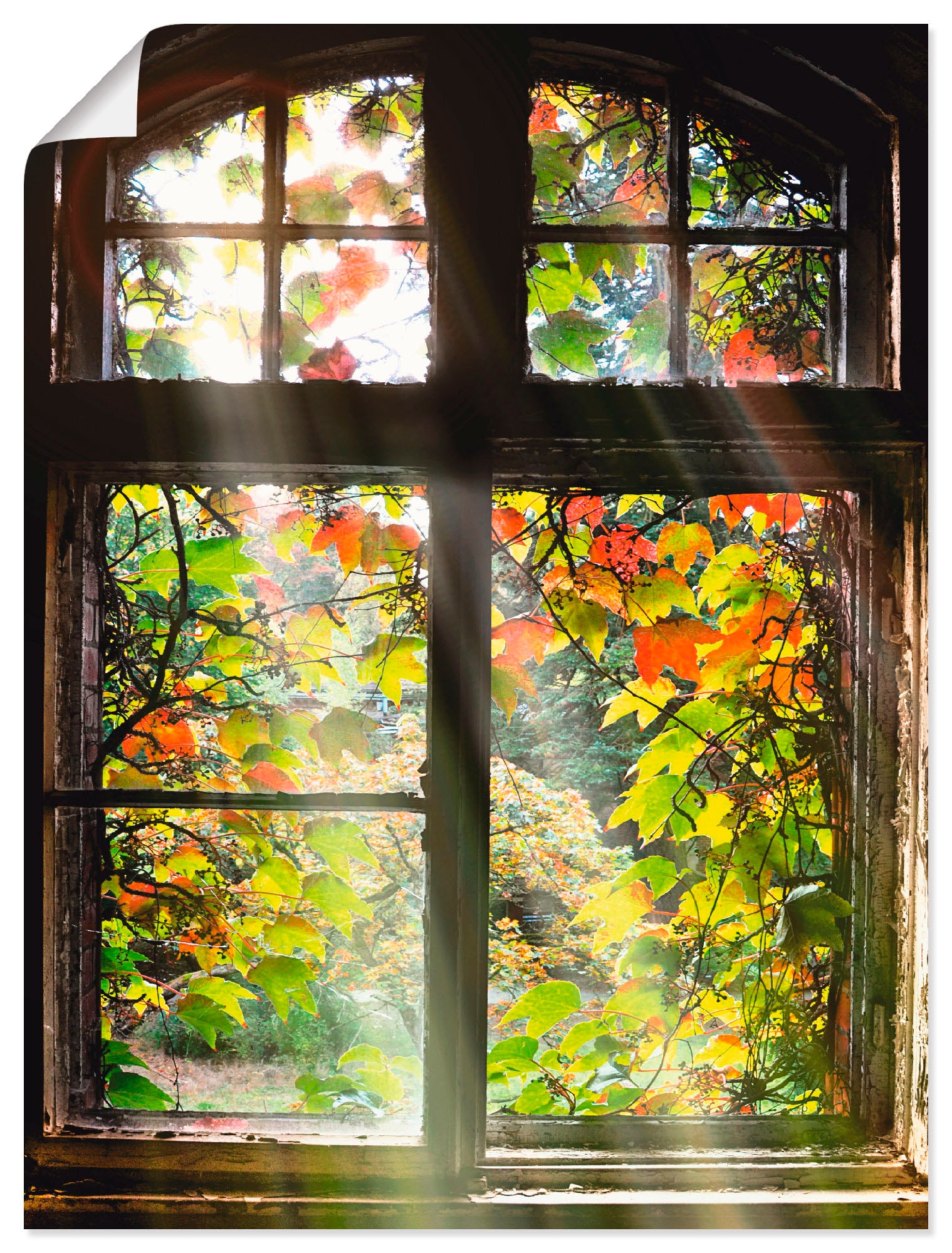 Image of Artland Wandbild "Altbau" Fenster & Türen 1 Stk. tlg. als Alubild, Leinwandbild, Poster in verschied. Grössen