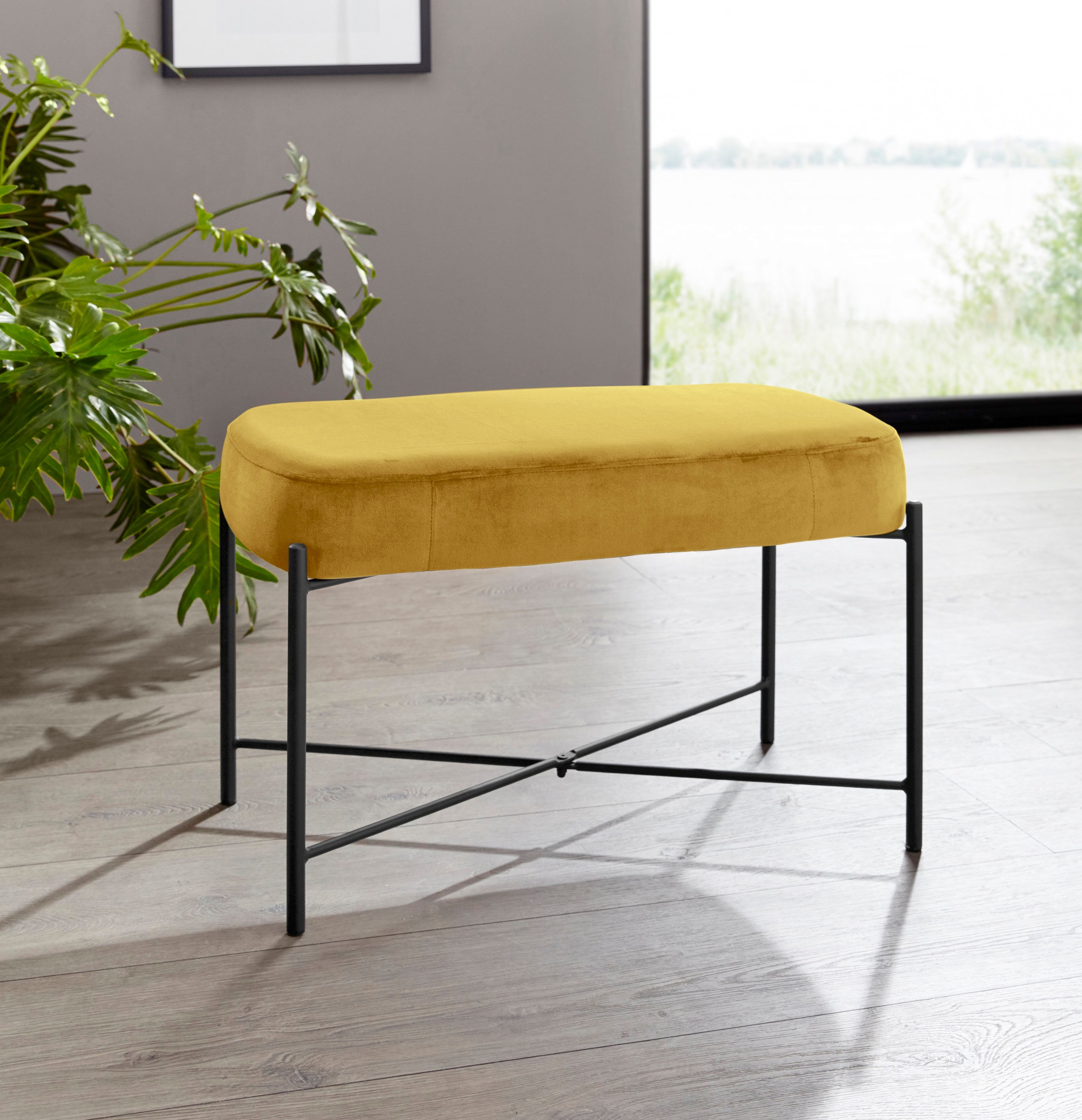 Image of INOSIGN Sitzbank »Isis«, mit einem Samtvelours Bezug, mit einem Metallgestell, in verschiedenen Farbvarianten erhältlich, Sitzhöhe 42 cm bei Ackermann Versand Schweiz